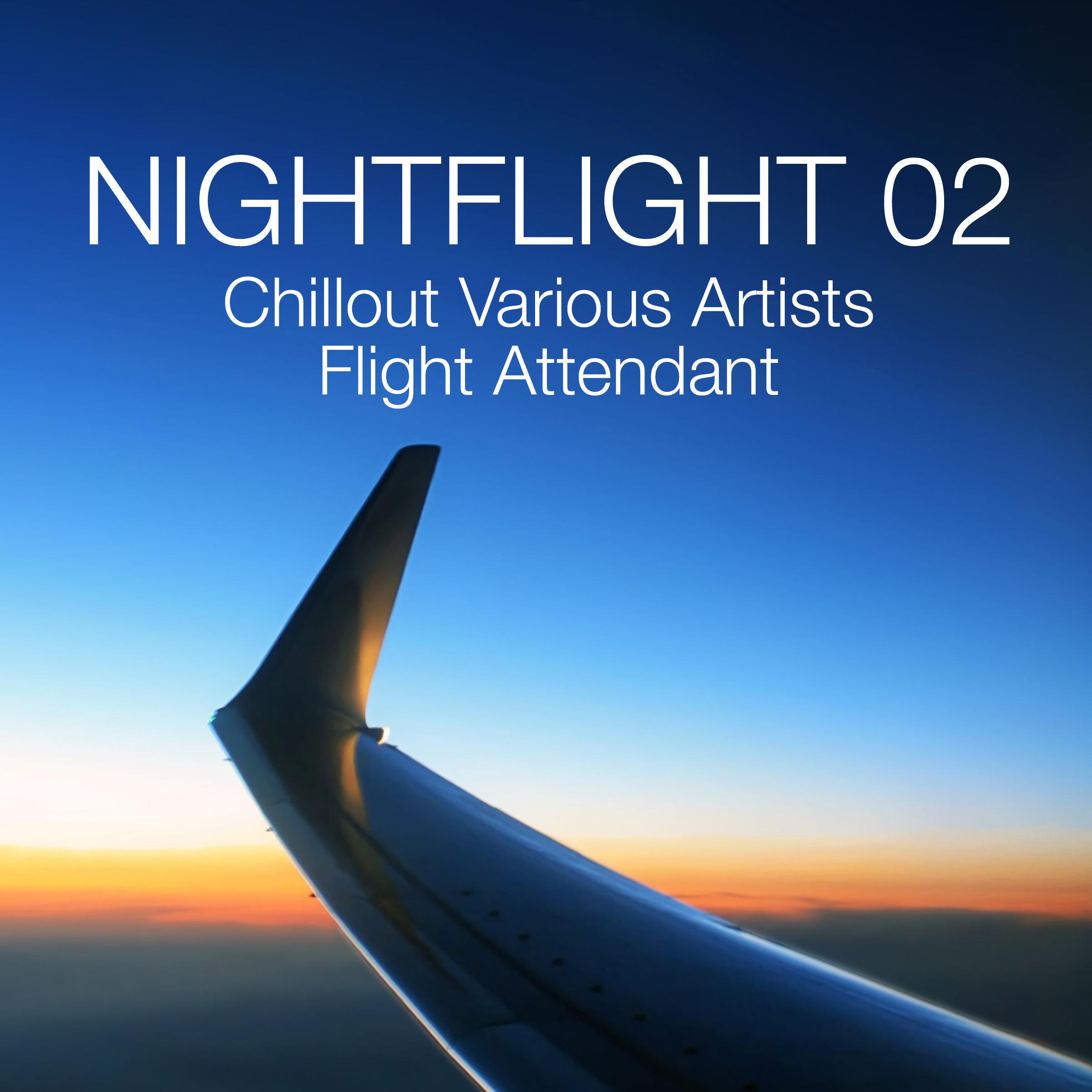 Nightflight 02 - Chillout Various Artists Flight Attendant