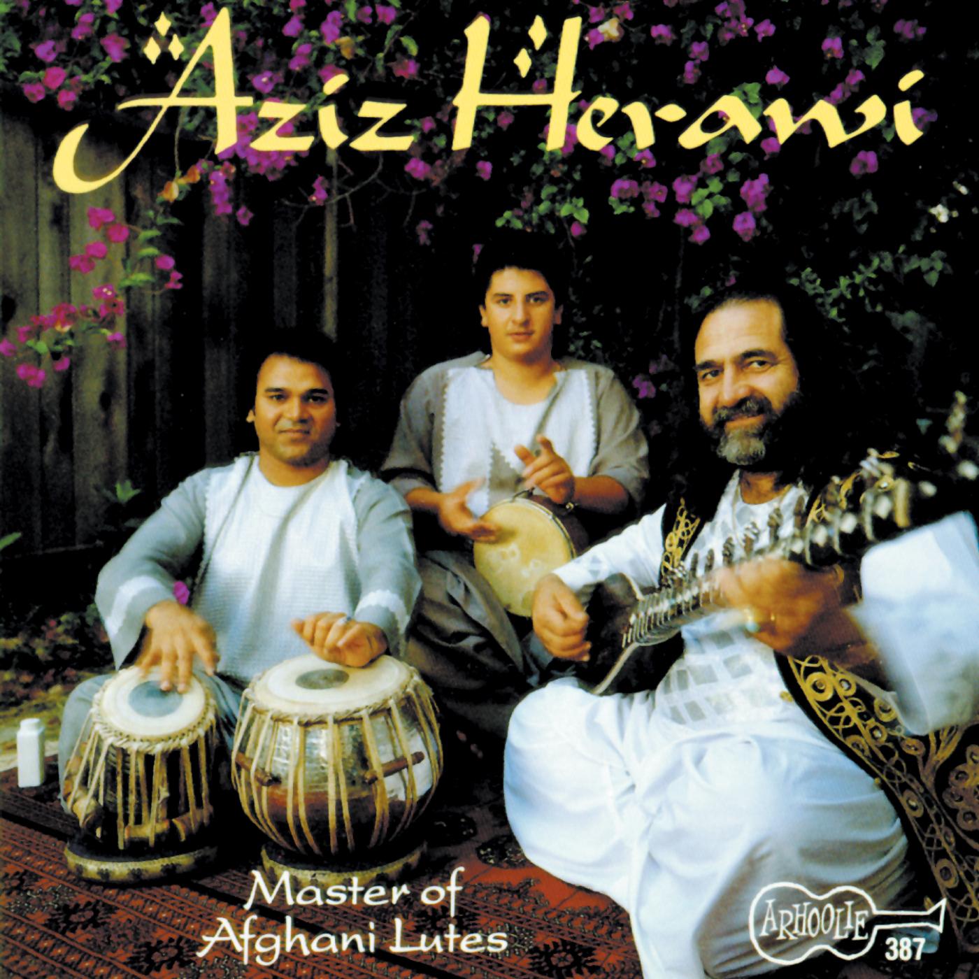 Master of Afghani Lutes