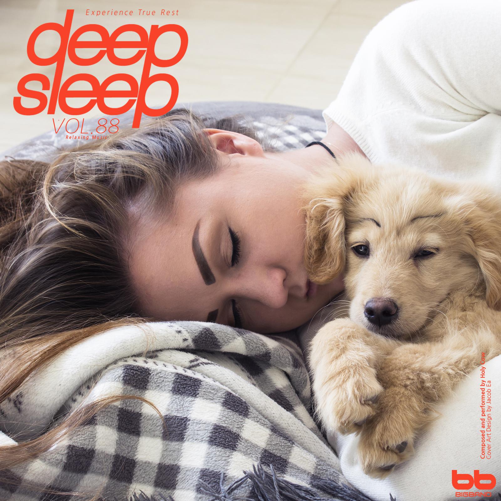 Deep Sleep, Vol. 88 (Relaxation,Relaxing Muisc,Insomnia,Lullaby,Prenatal Care,Healing)