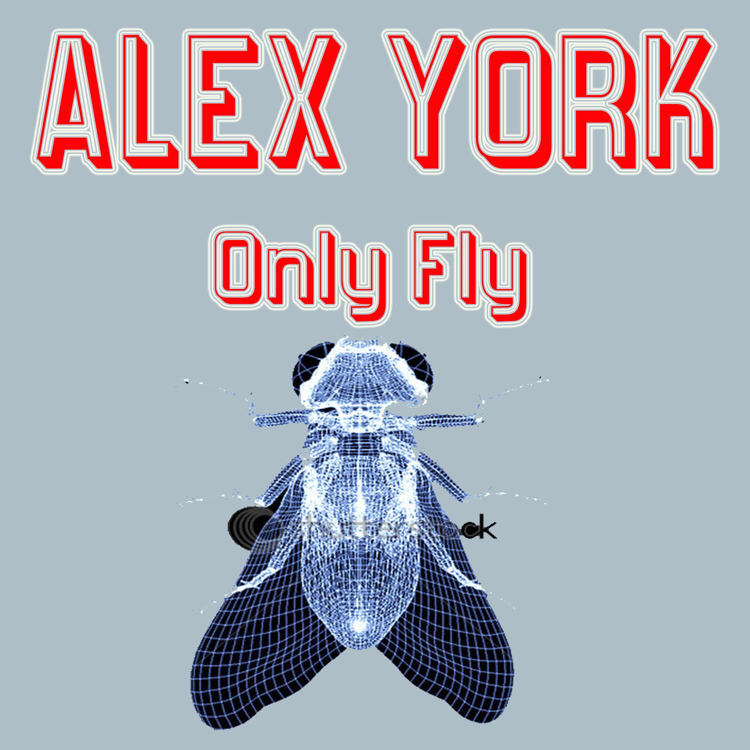 Only Fly