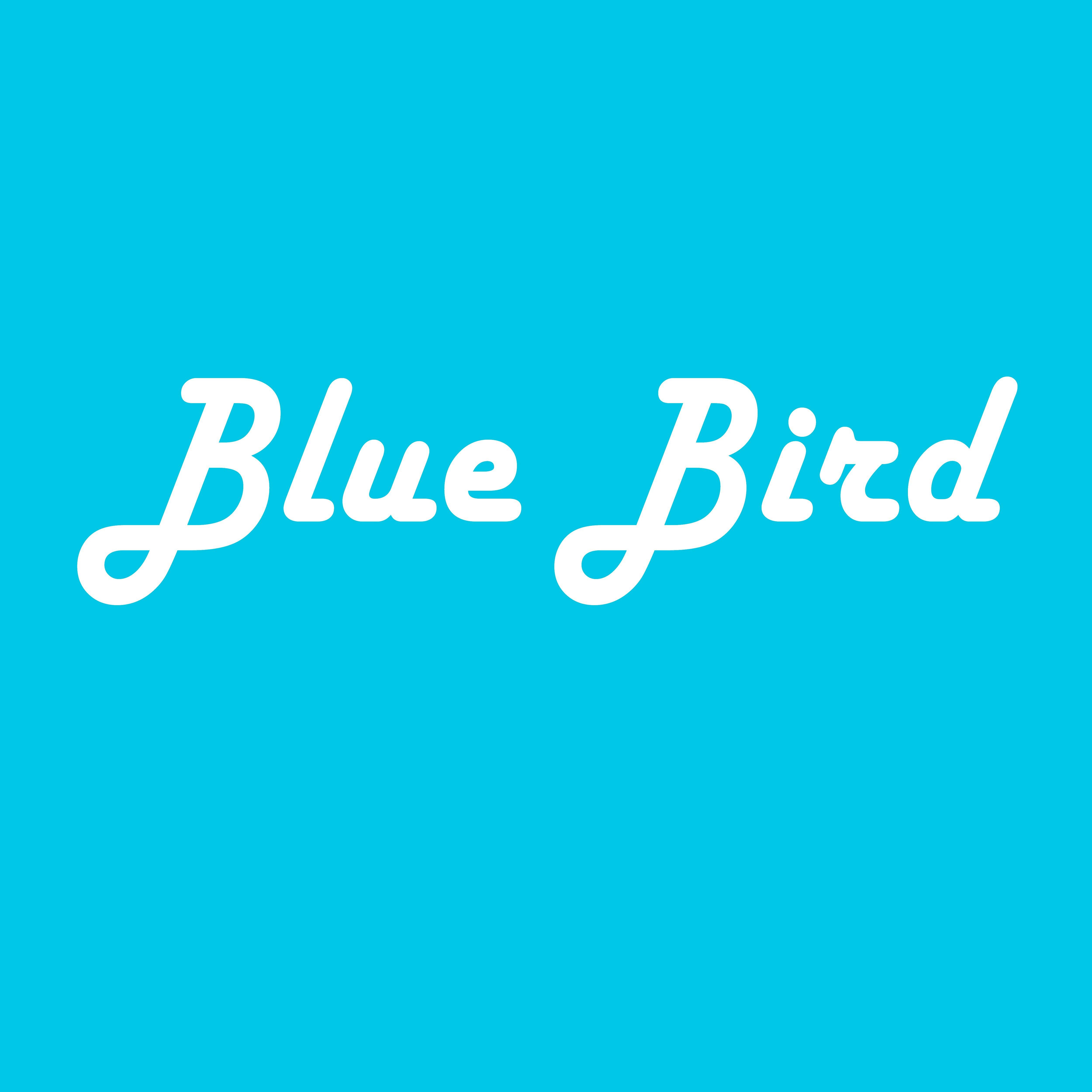 Blue Bird