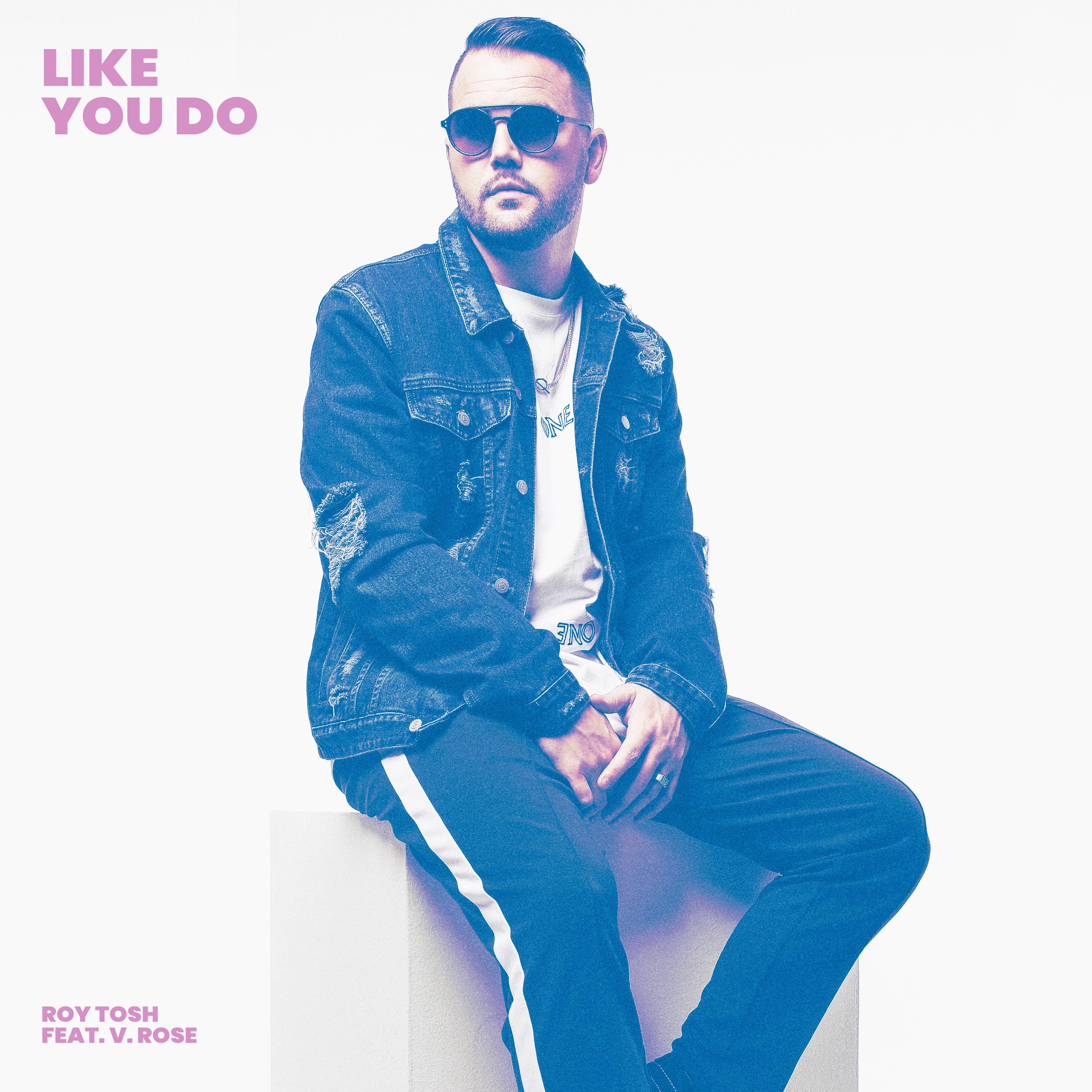 Like You Do (feat. V. Rose)