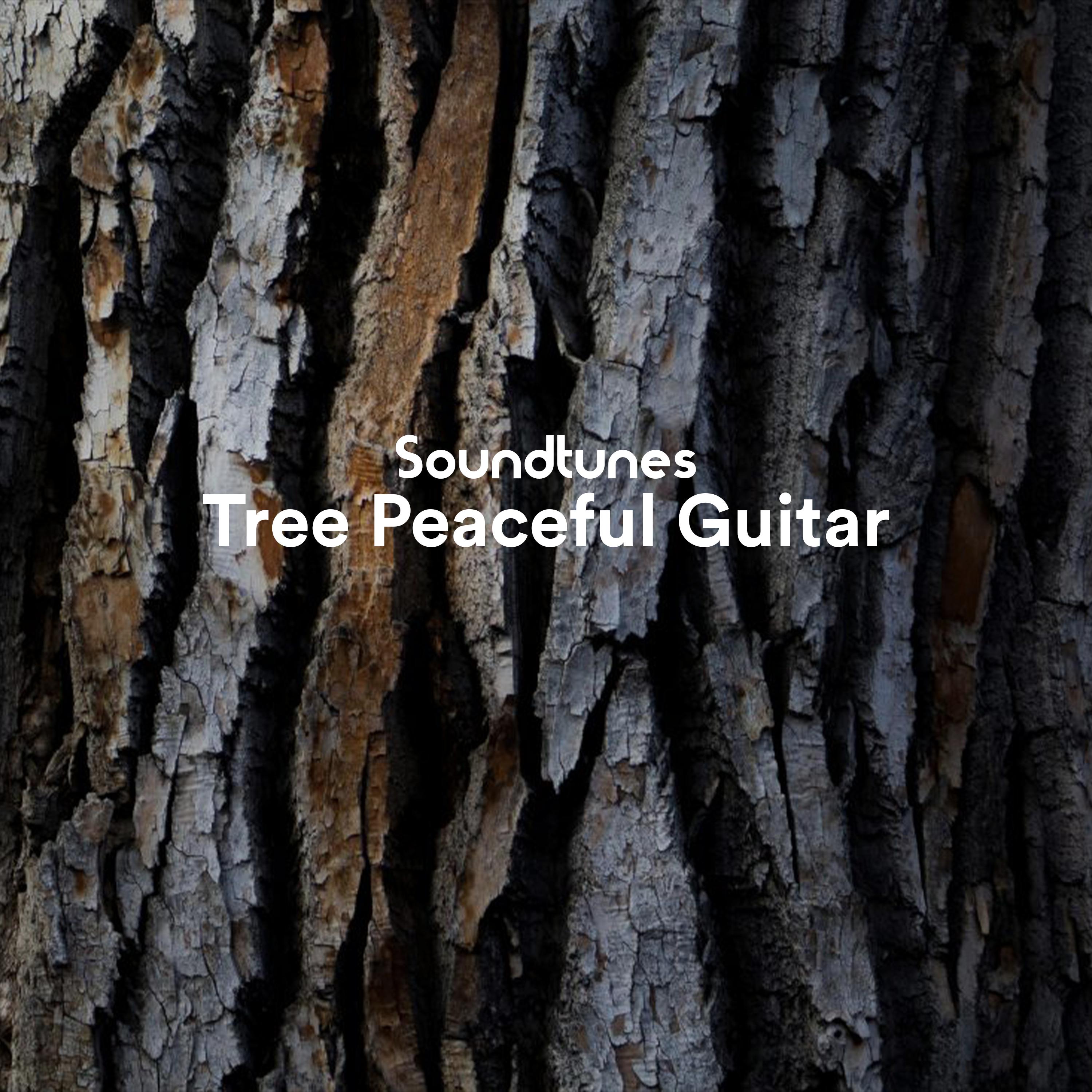 Tree Peaceful Guitar