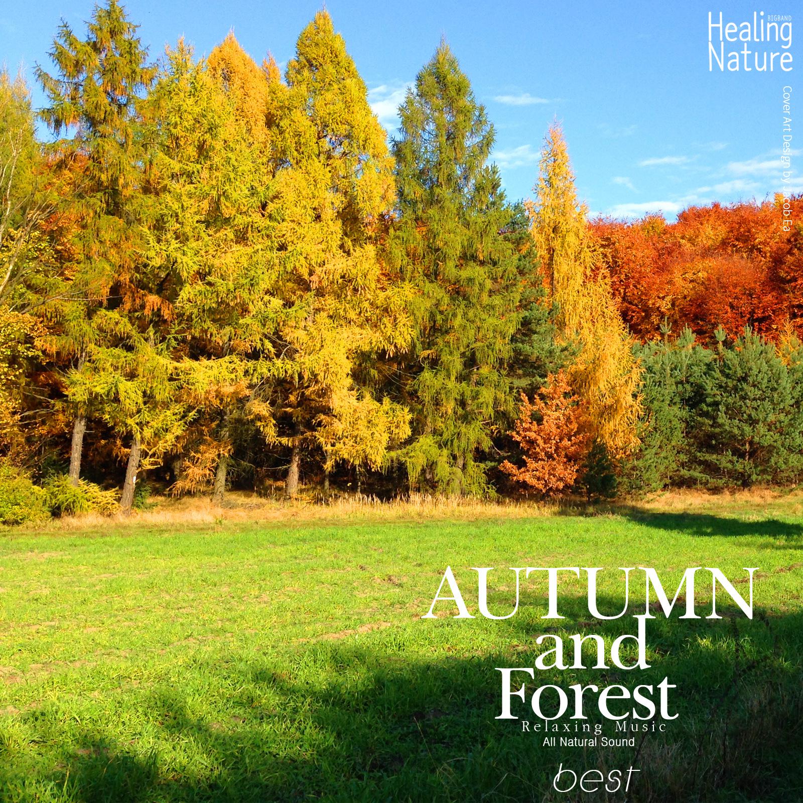 Relaxing Music from Autumn Forest, Best 3