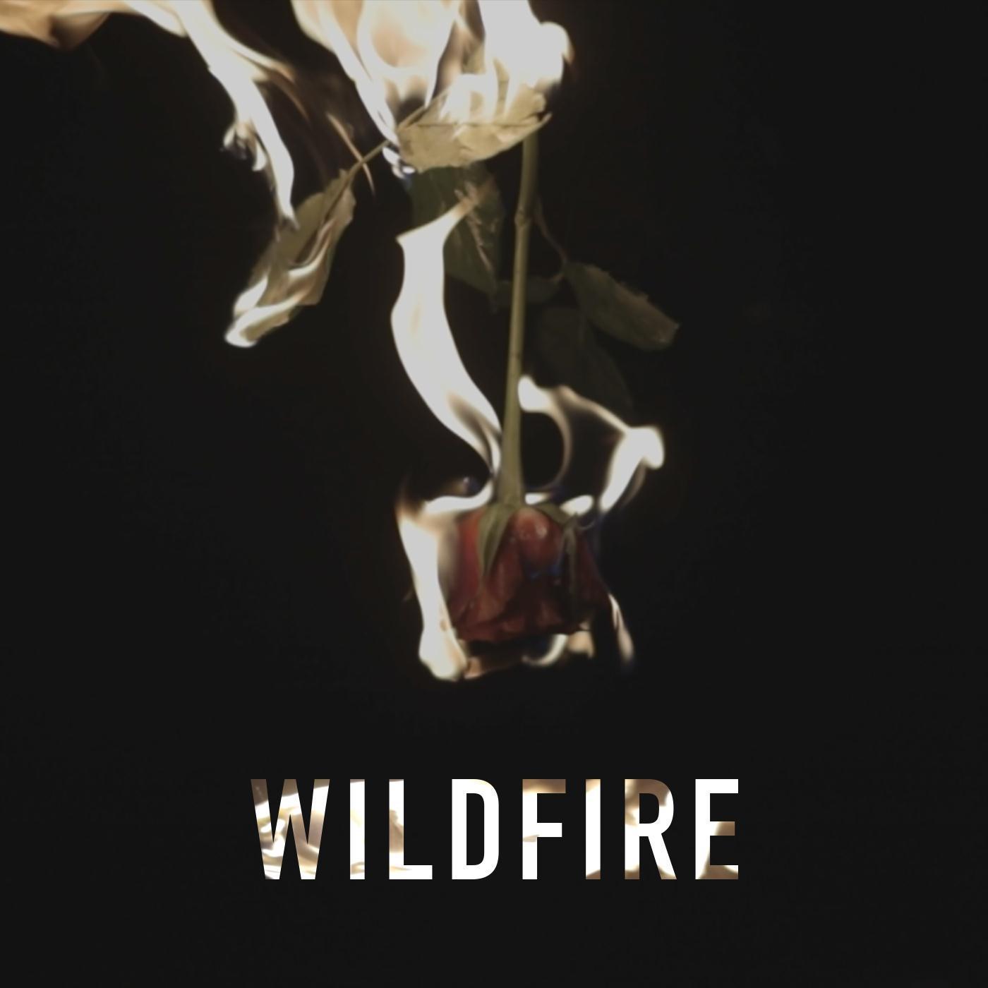 Wildfire