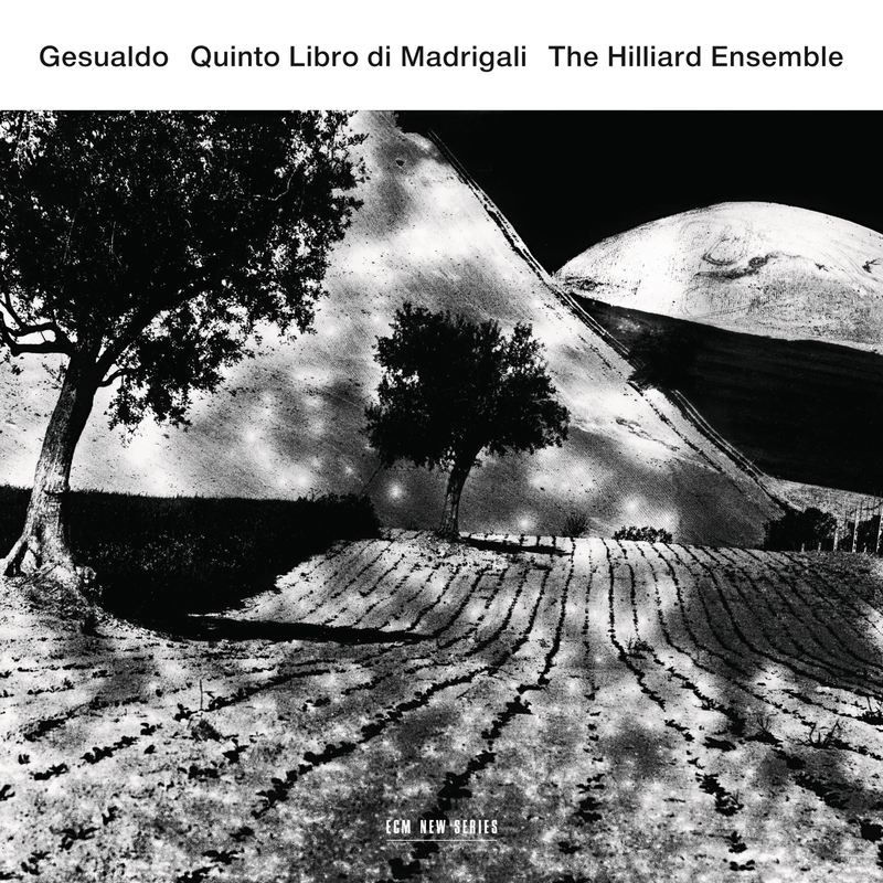 Gesualdo: Fifth Book Of Madrigals - 8. Se vi duol il mio duolo