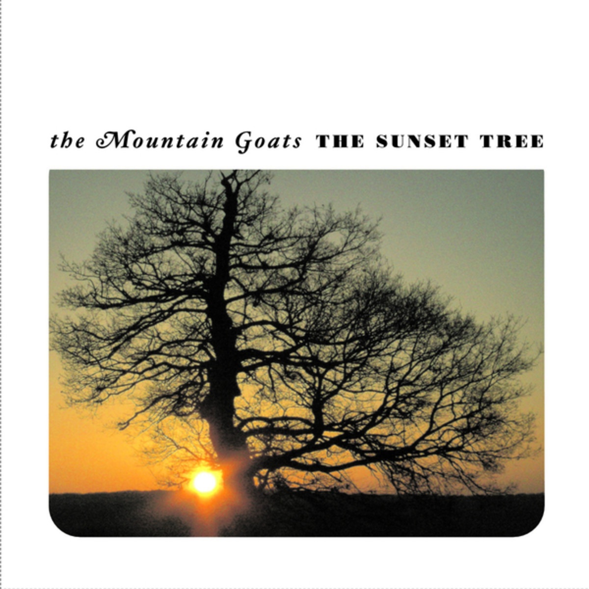 The Sunset Tree