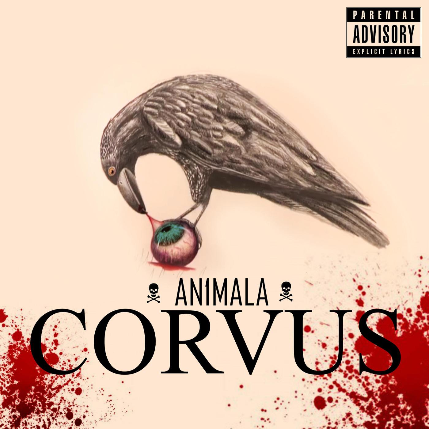 Corvus