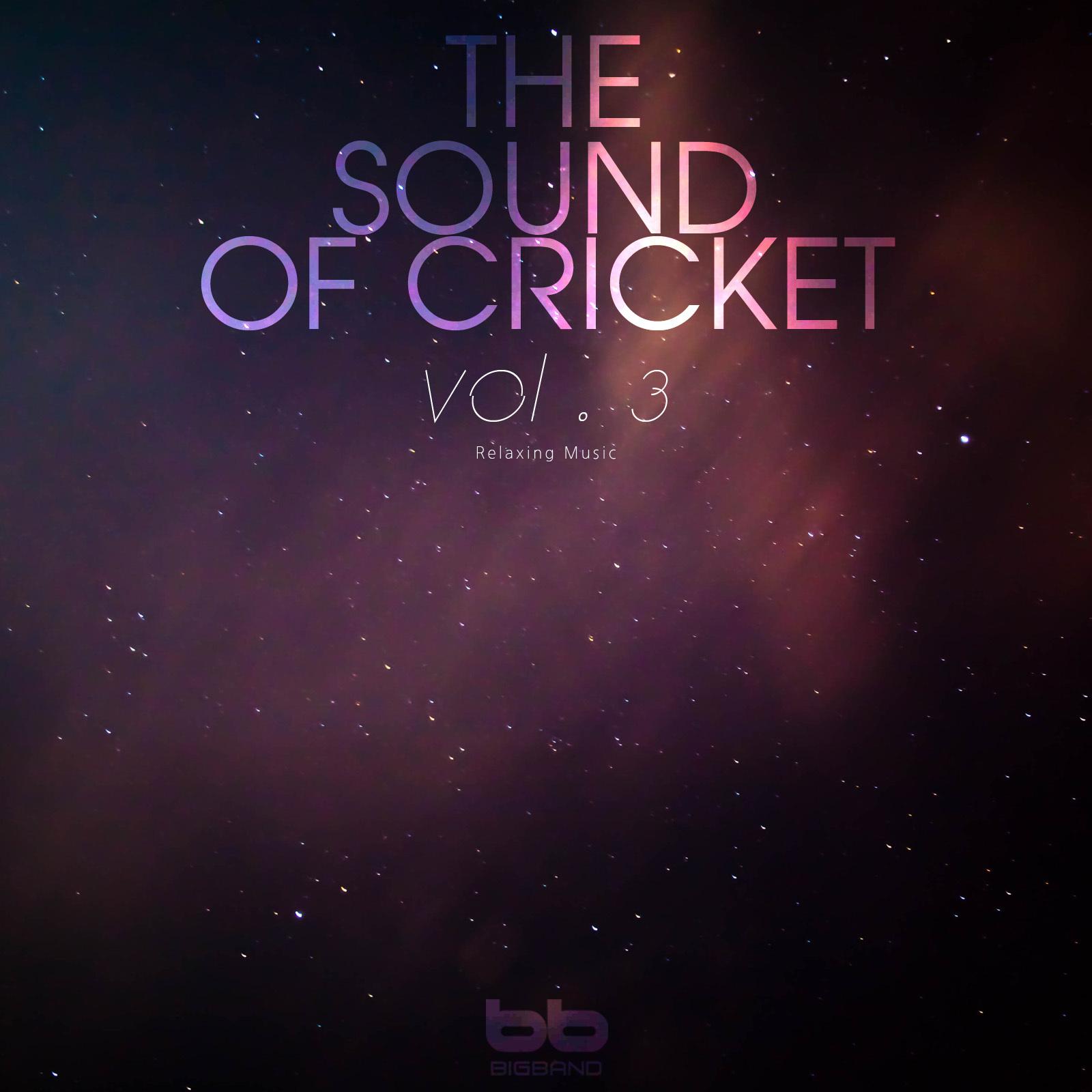 The Sound of Cricket, Vol. 3