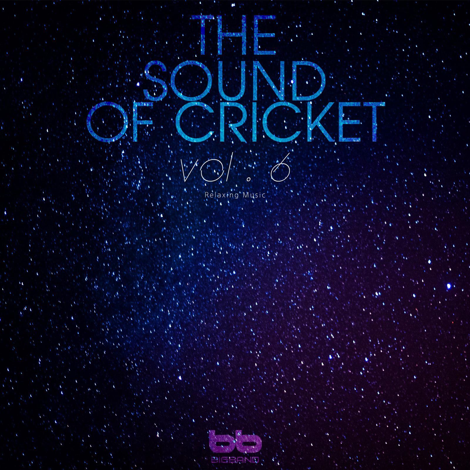 The Sound of Cricket, Vol. 6