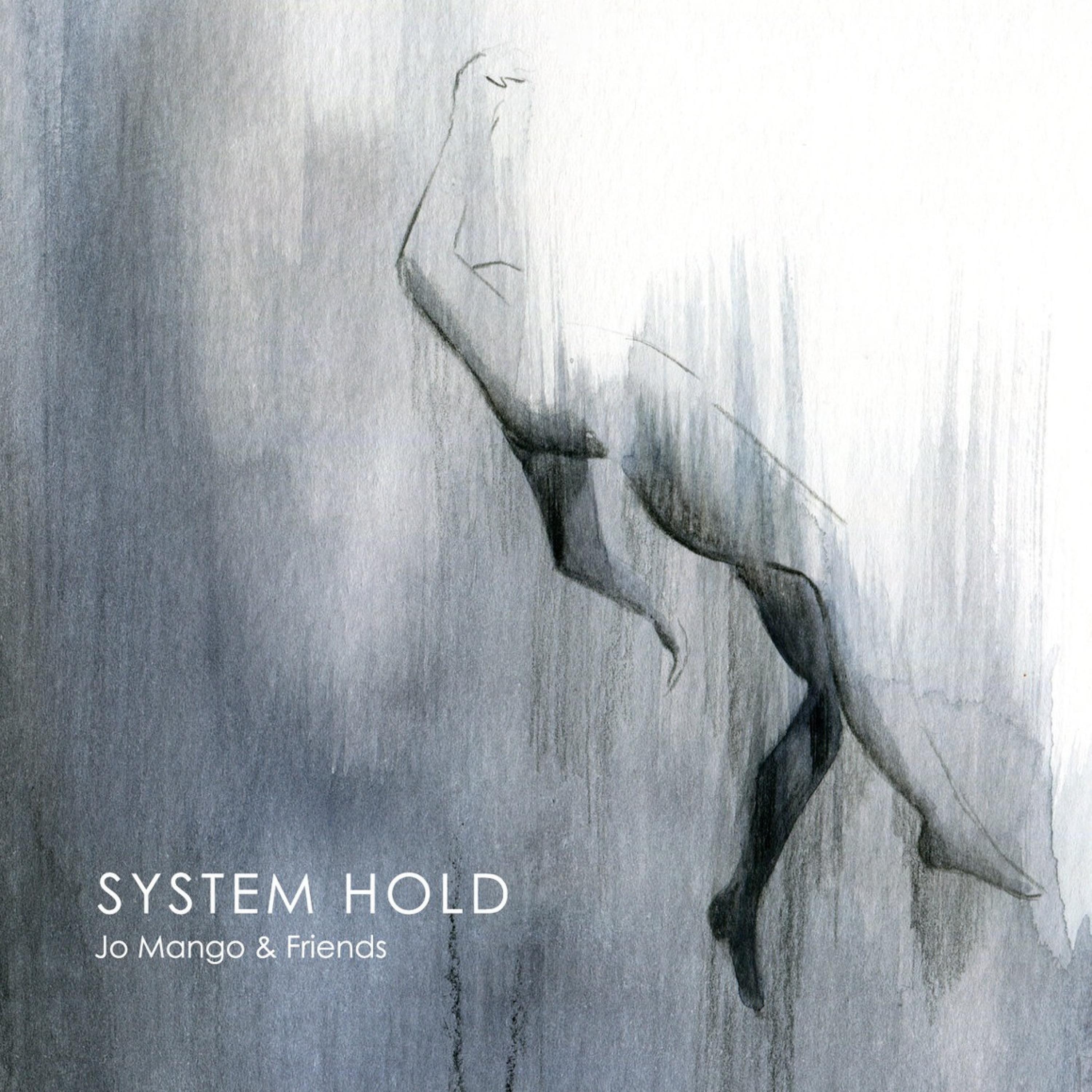 System Hold