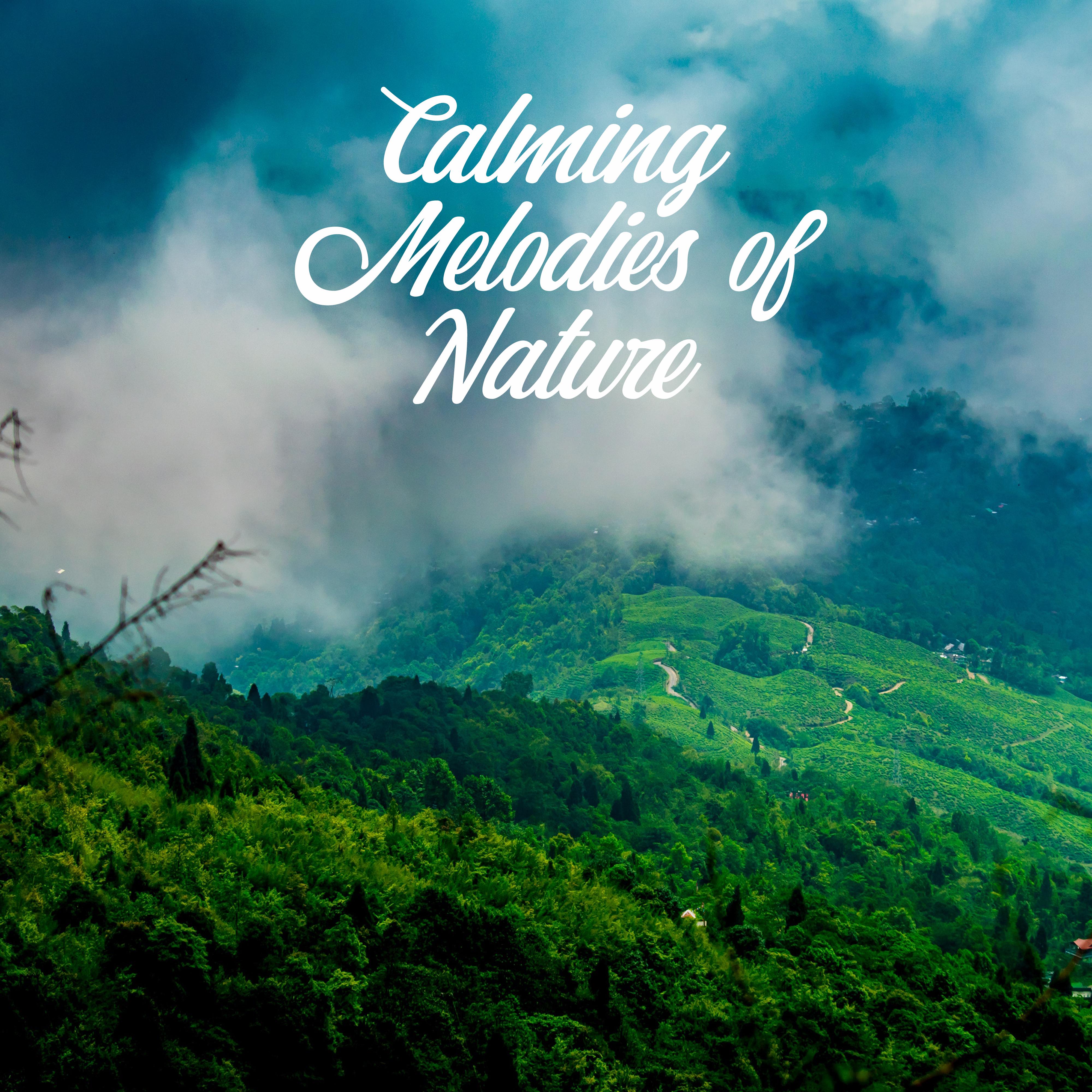 Calming Melodies of Nature - Music That’ll Help You Calm Down, Relax and Soothe, Relieve Stress, Fatigue and Weariness, Helps Regenerate Your Strength and Regain Inner Harmony