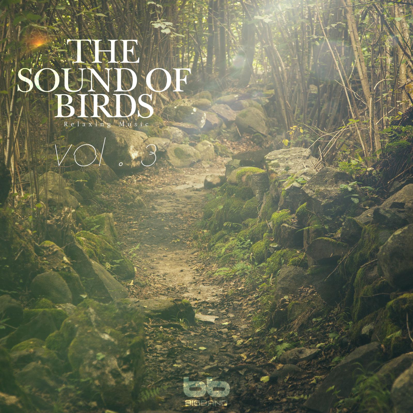 The Sound of Birds, Vol. 3