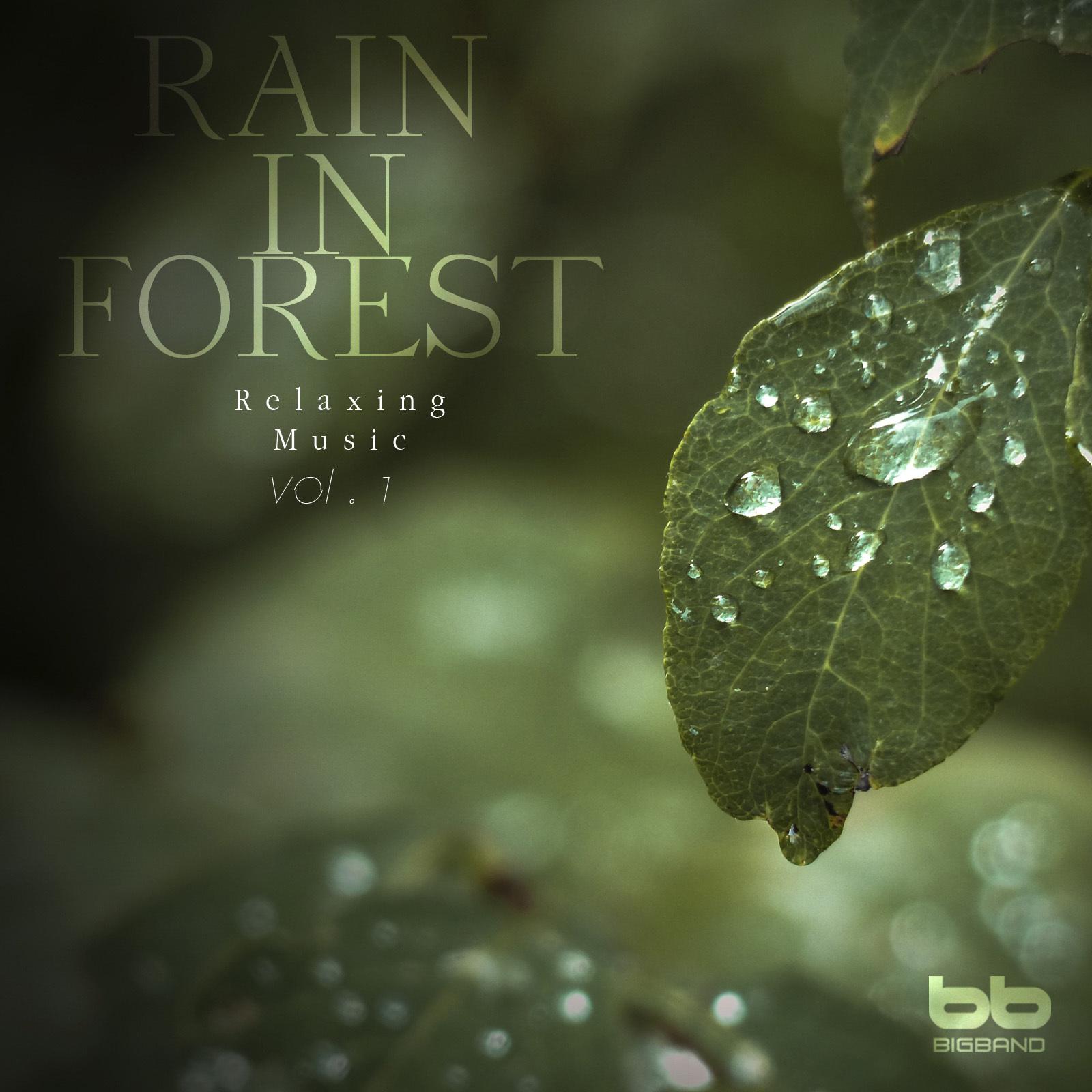 Rain In Forest Vol. 1