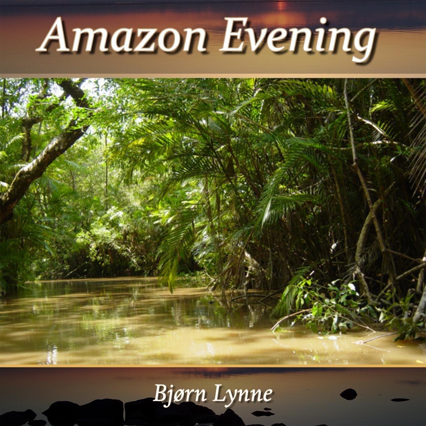 Amazon Evening