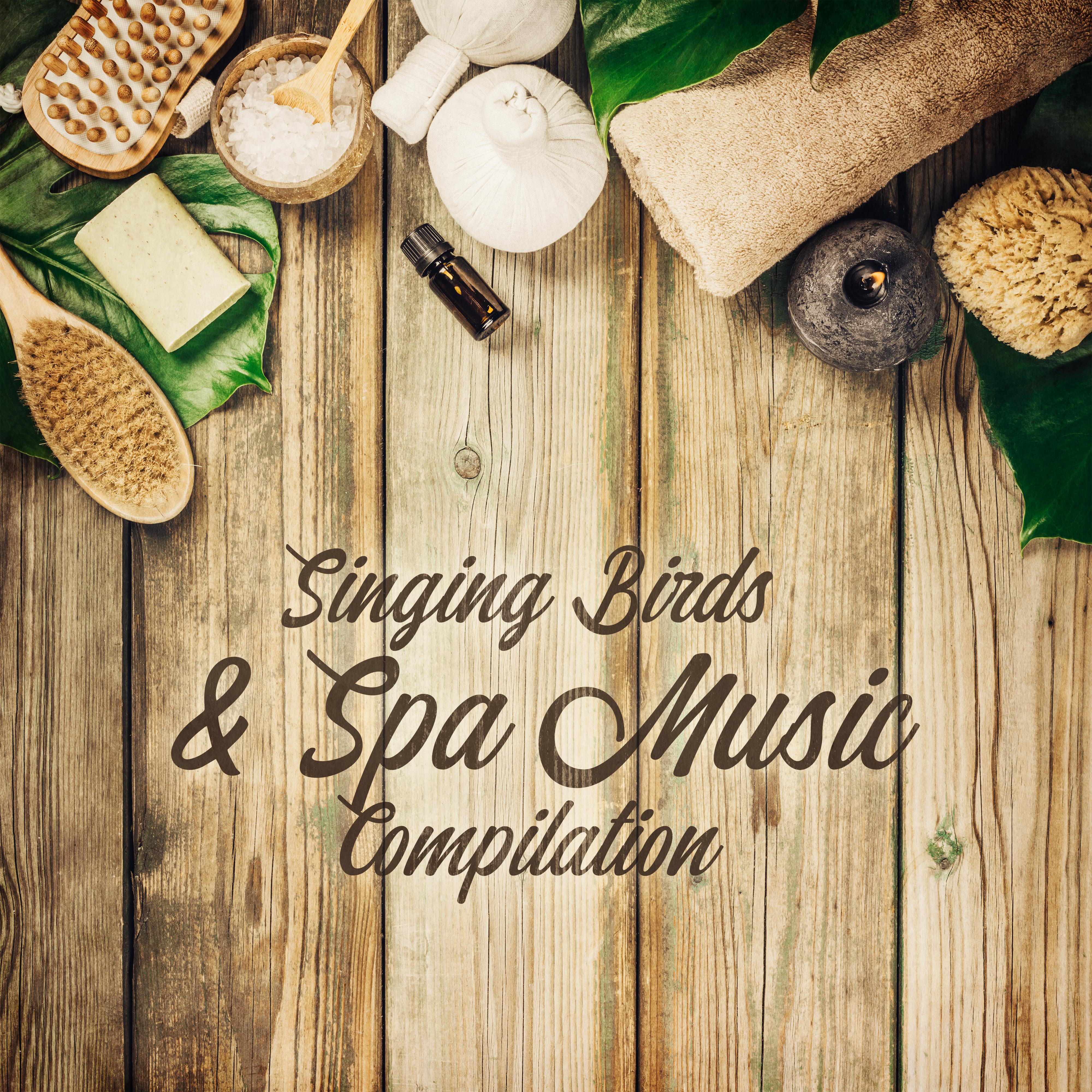 Singing Birds & Spa Music Compilation - Music for Relaxation, Massage, Rest Among the Sounds of Nature, Relaxation Treatments, a Refreshing Bath and for Moments of Blissful Chillout