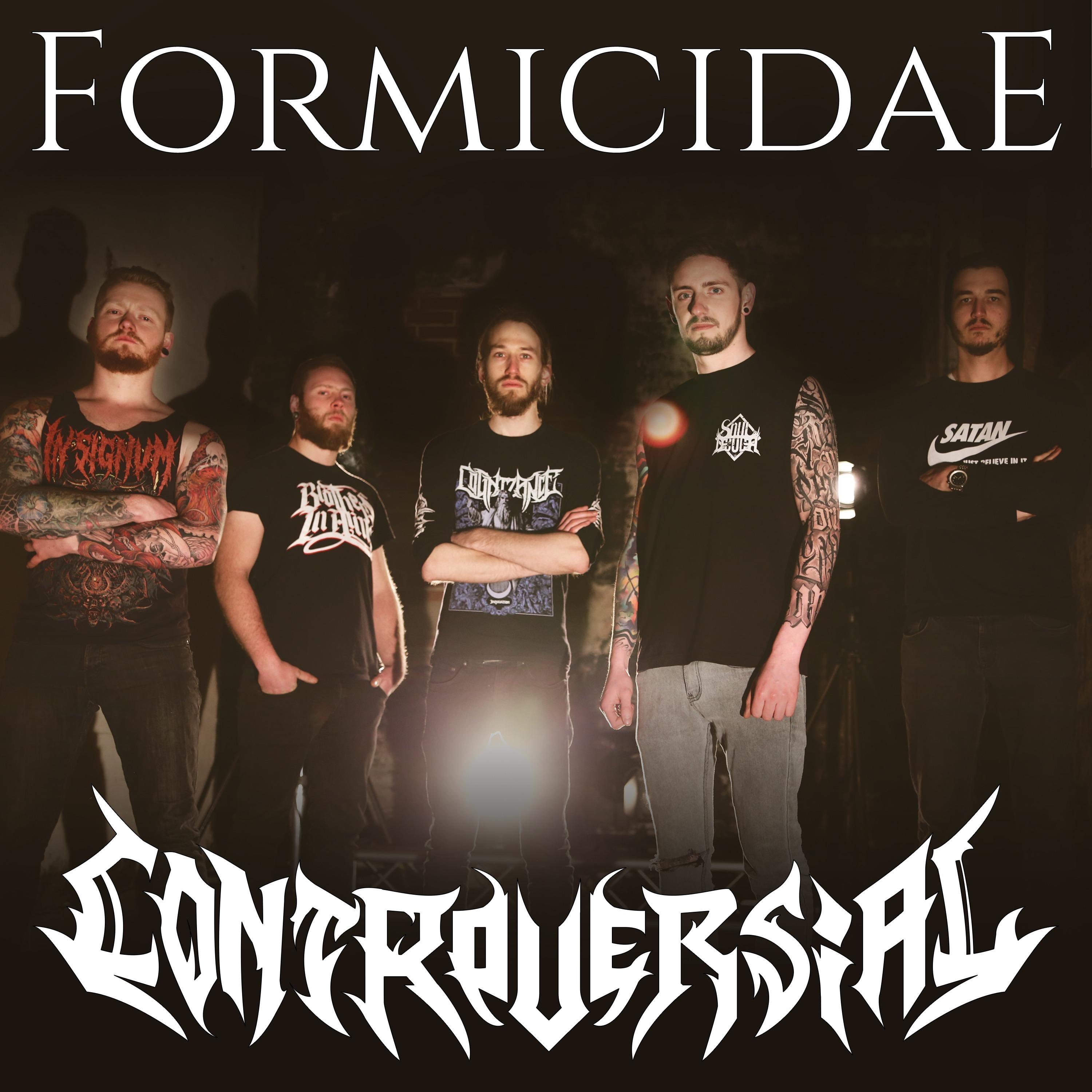 Formicidae