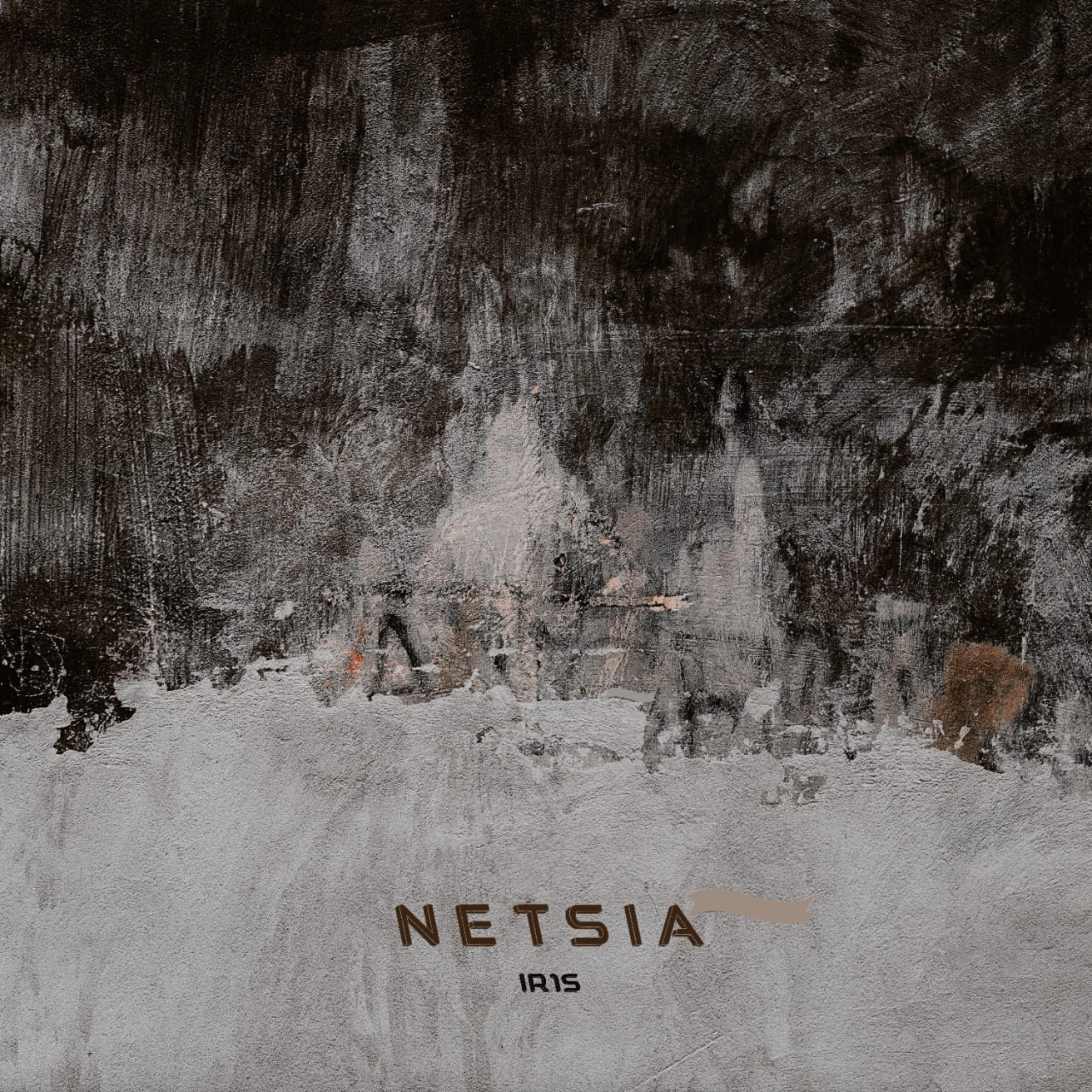 Netsia