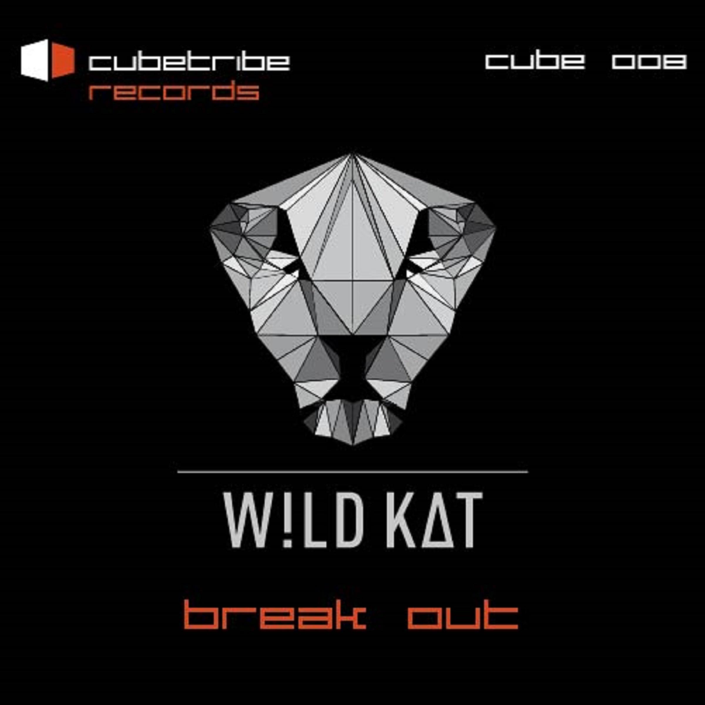 Break Out (incl. Remixe)