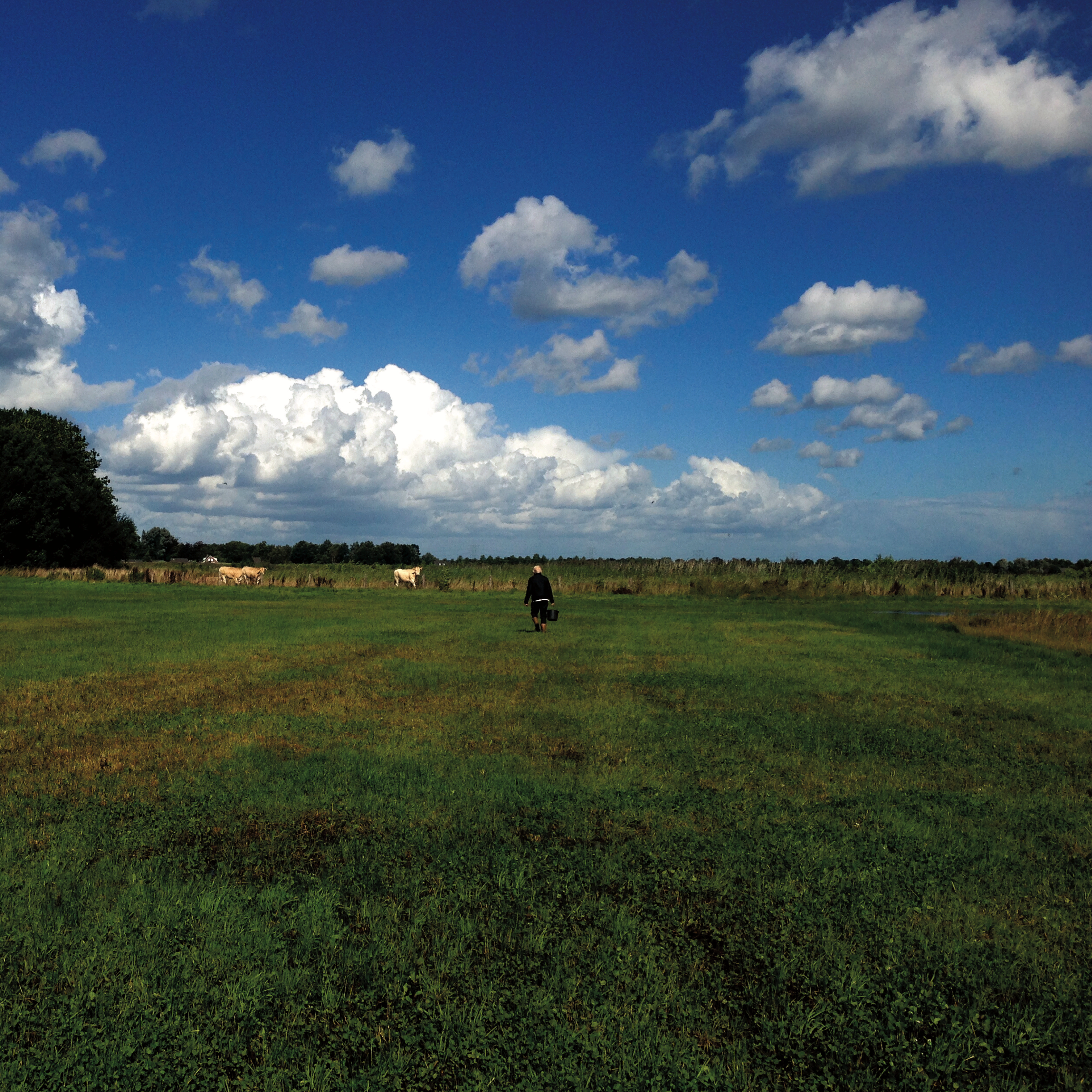 Rovertse Heide