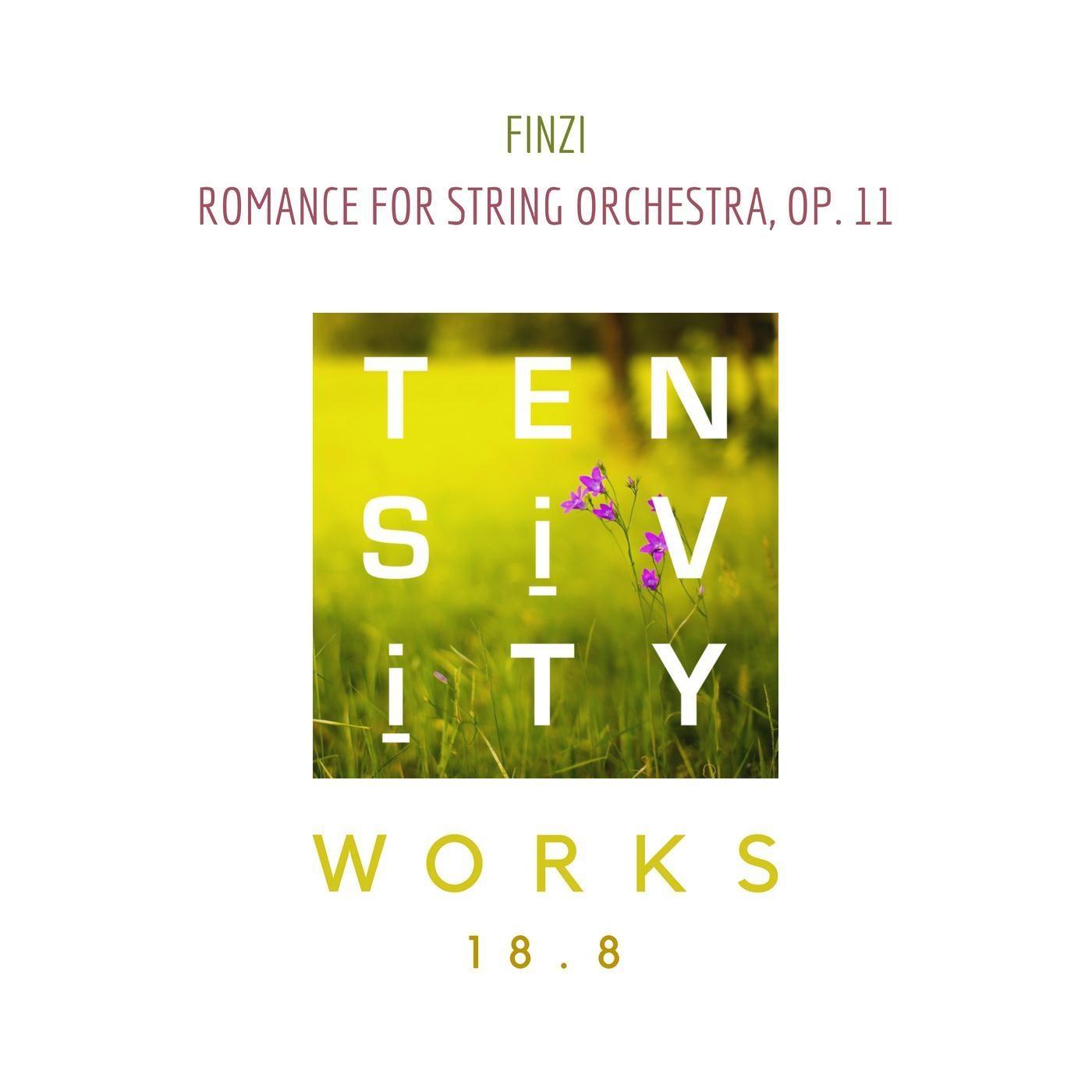 Romance for String Orchestra, Op. 11