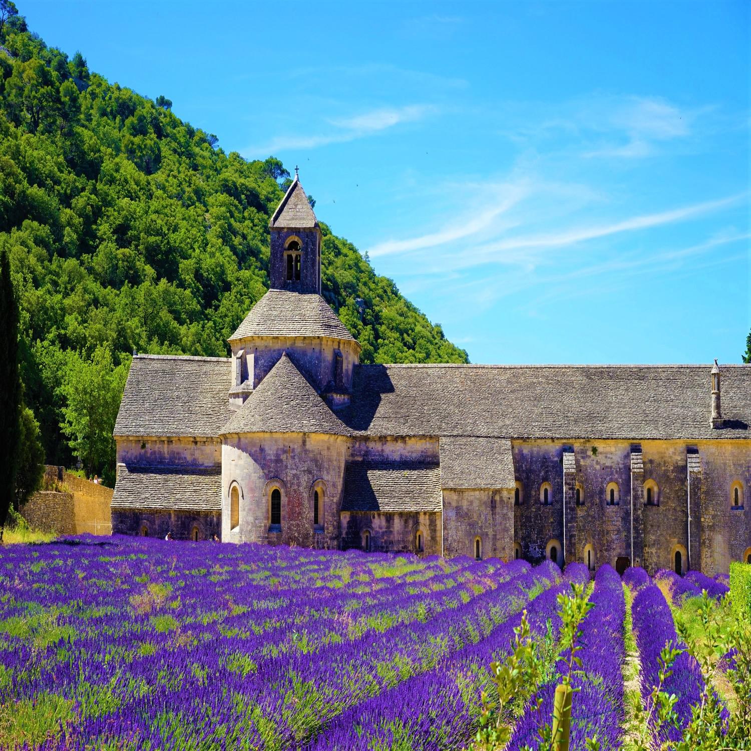 Village of France Sound - Bird & Water Flowing - Summer Holydays