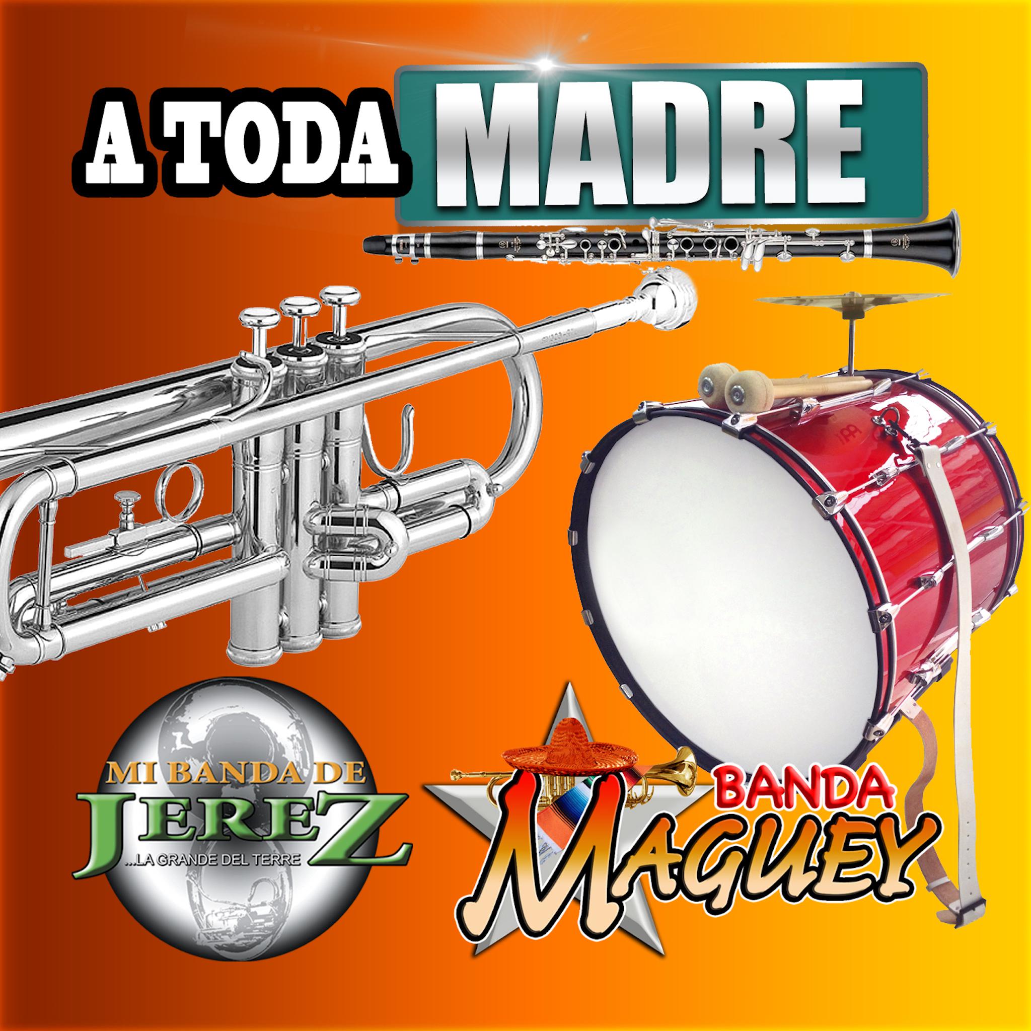 Toda Madre