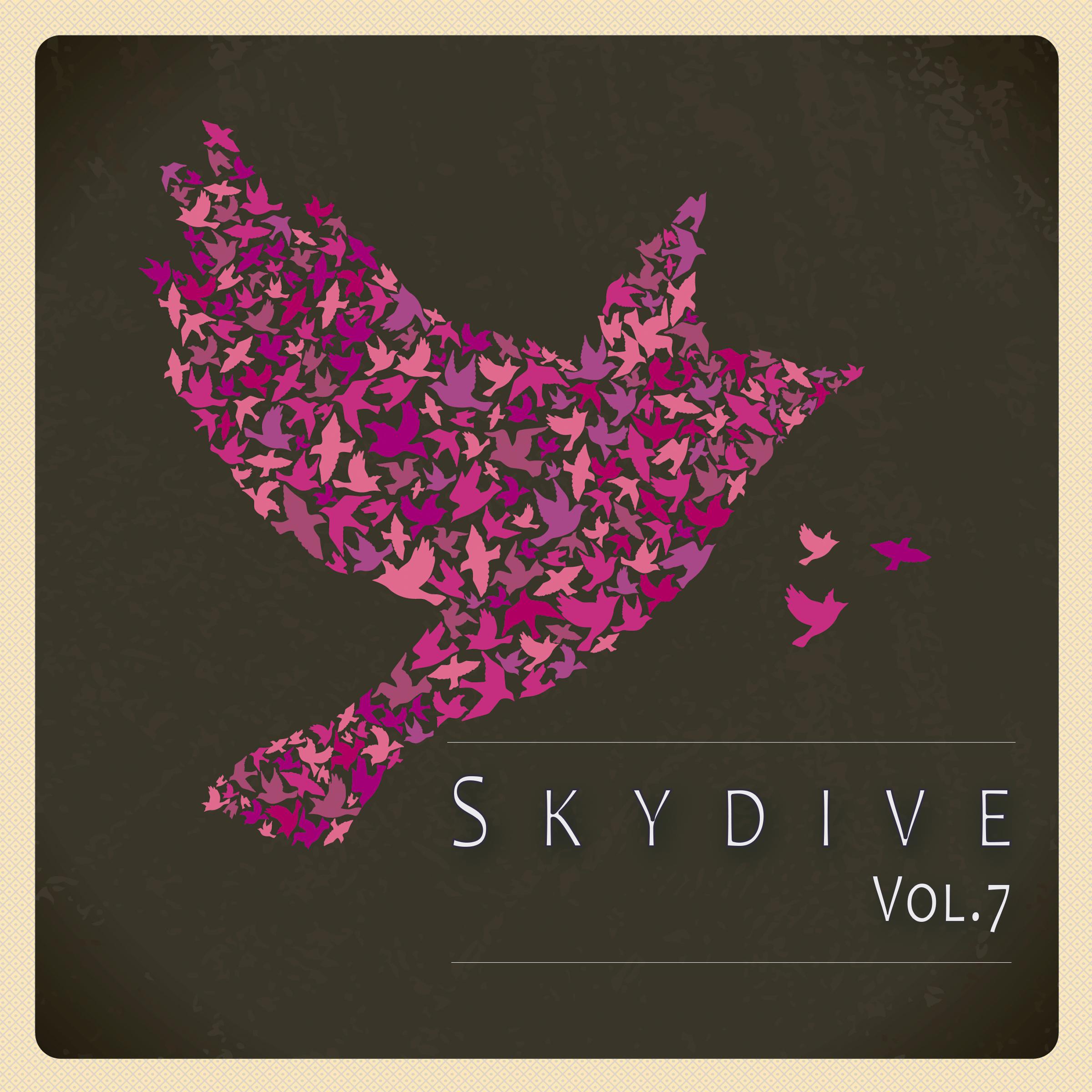 Skydive, Vol. 07