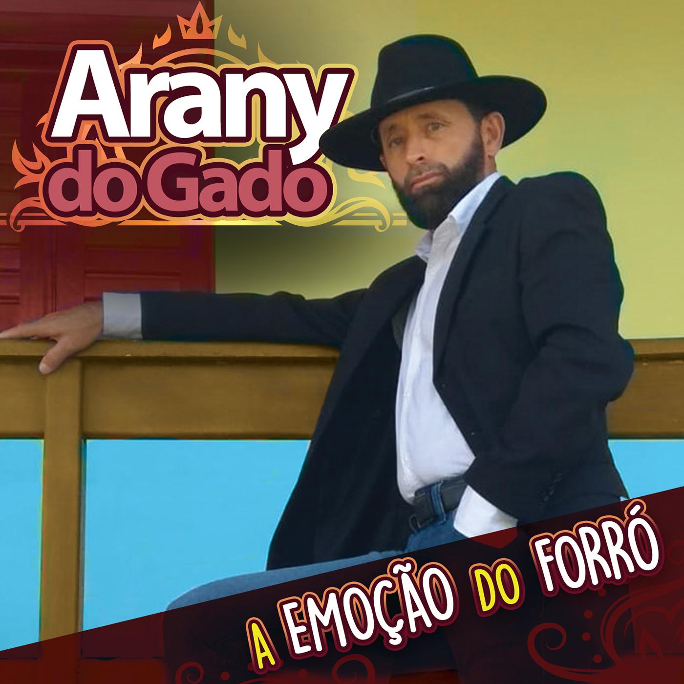 A Emoção do Forró