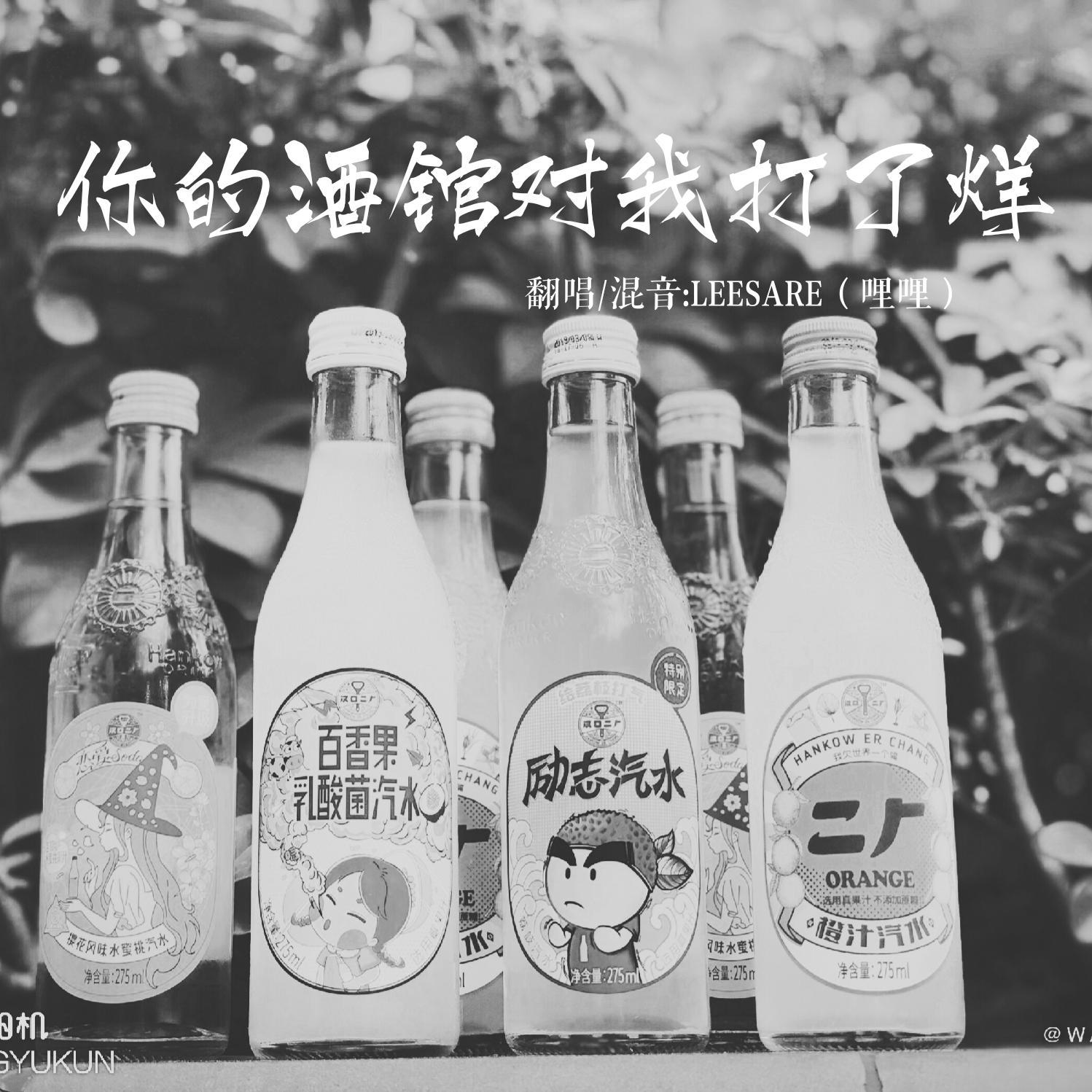 你的酒馆对我打了烊 - LEESARE