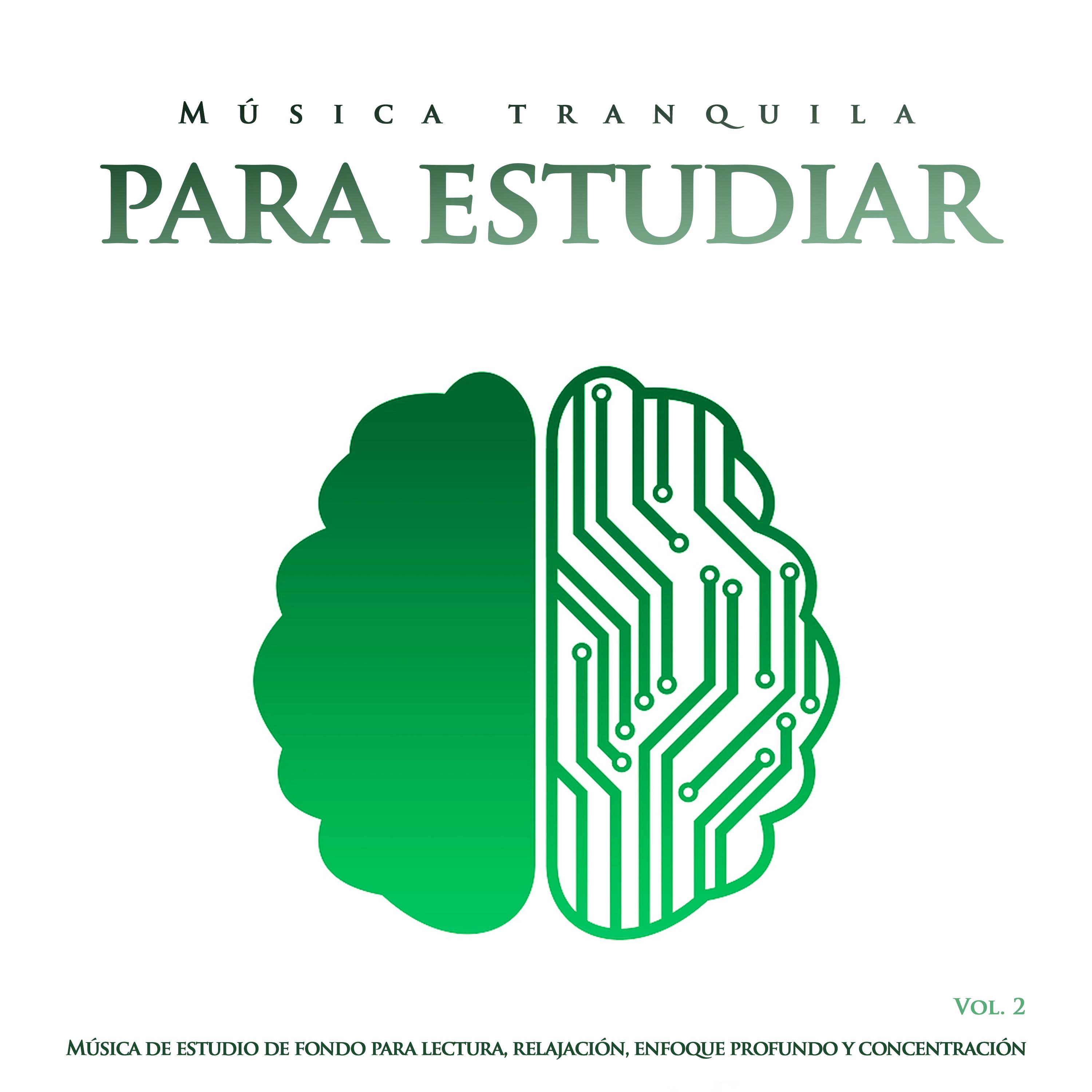 Música tranquila para estudiar: Música de estudio de fondo para lectura, relajación, enfoque profundo y concentración, Vol. 2