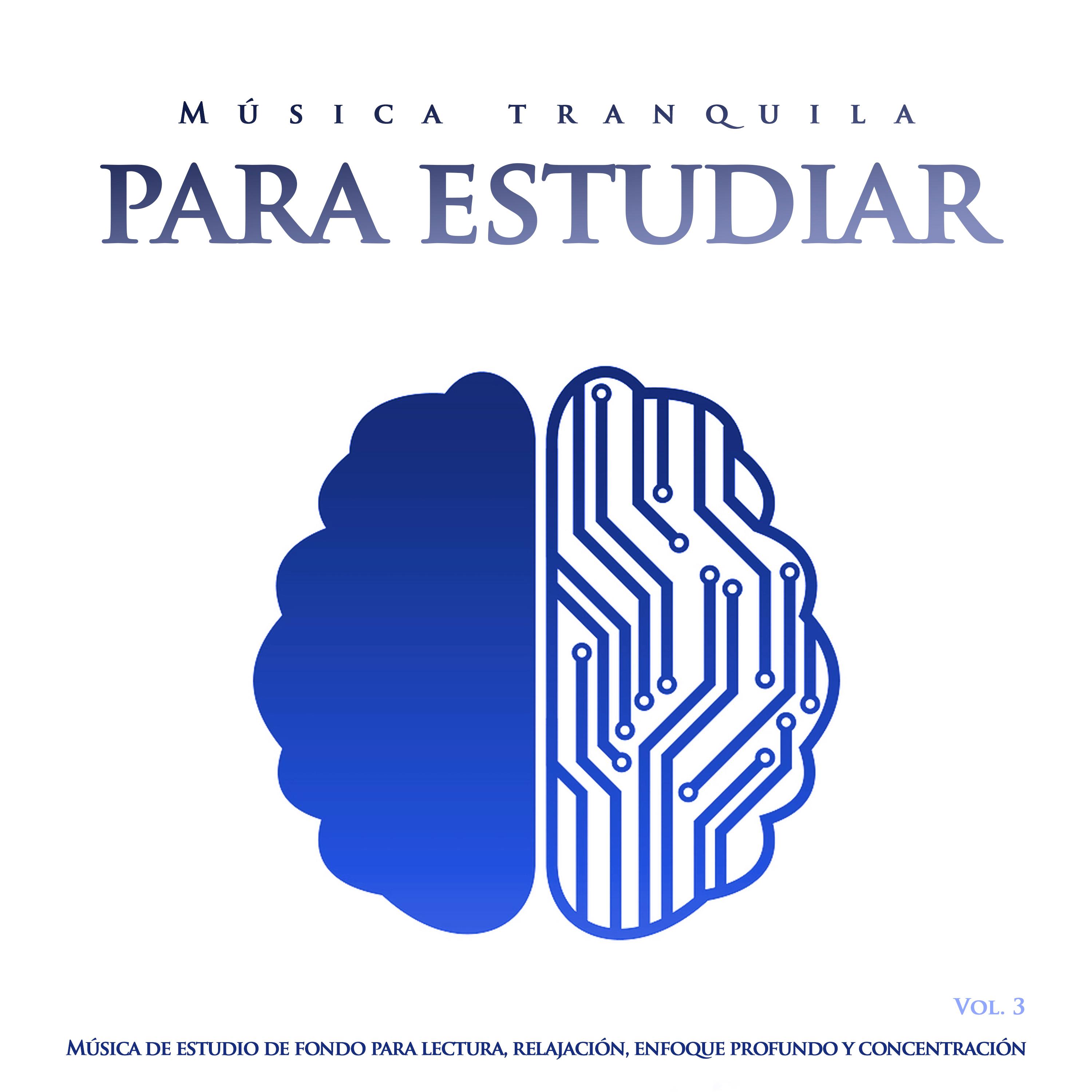 Música tranquila para estudiar: Música de estudio de fondo para lectura, relajación, enfoque profundo y concentración, , Vol. 3