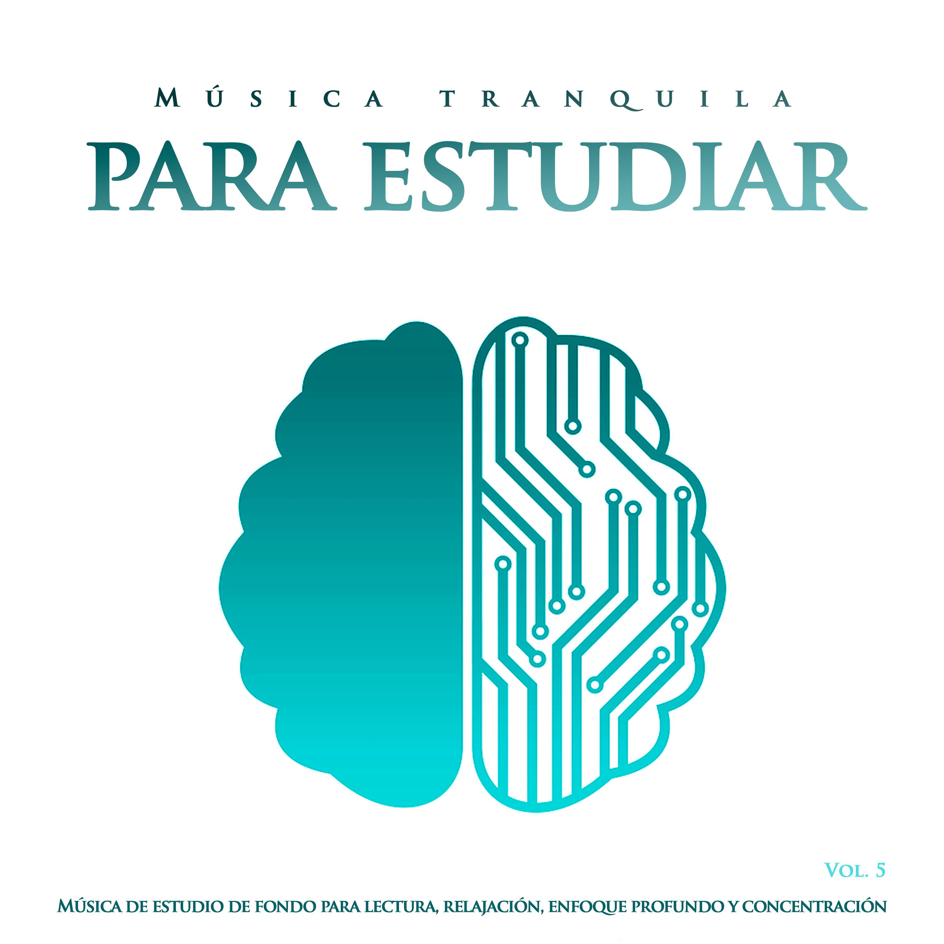 Música tranquila para estudiar: Música de estudio de fondo para lectura, relajación, enfoque profundo y concentración, Vol. 5