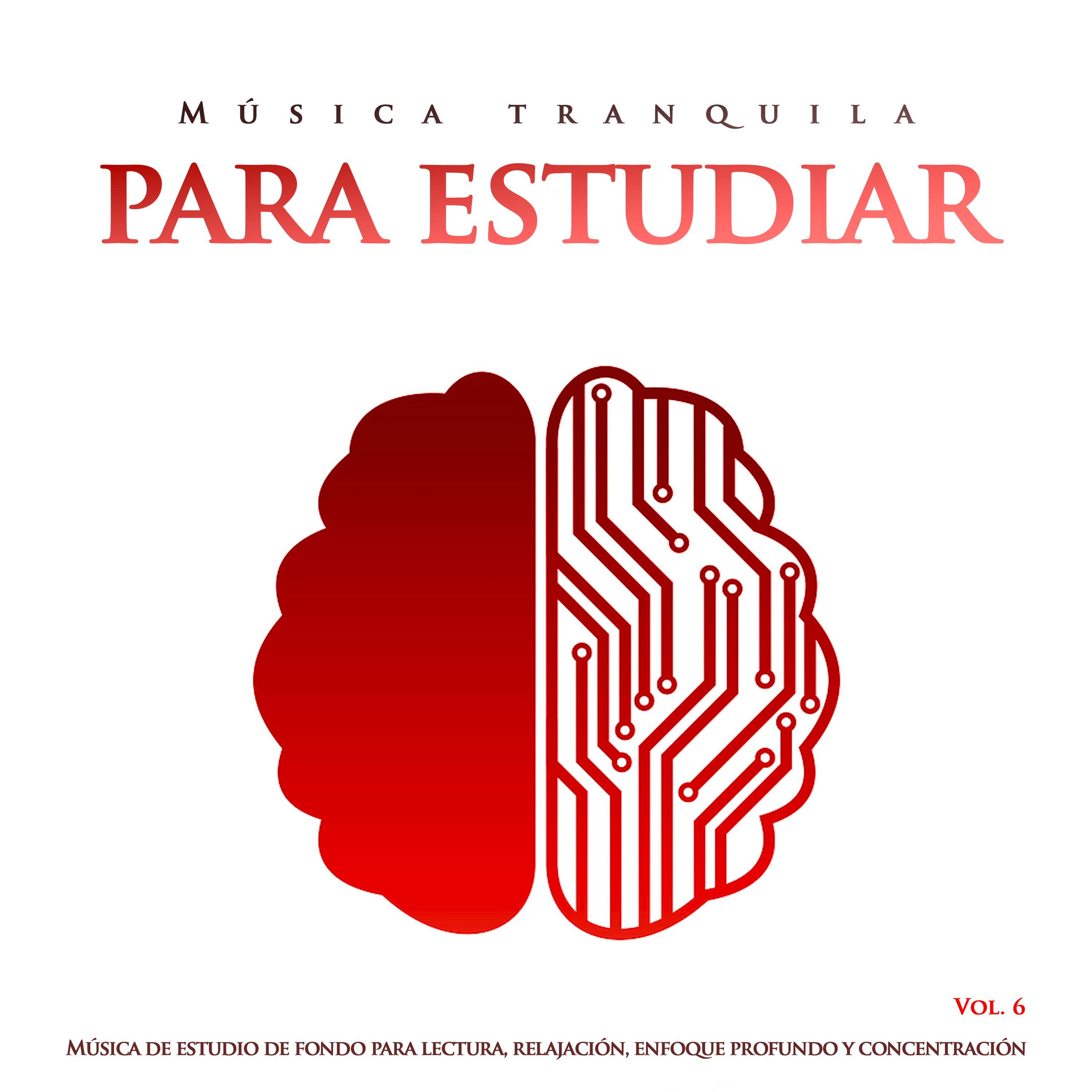 Música tranquila para estudiar: Música de estudio de fondo para lectura, relajación, enfoque profundo y concentración, Vol. 6