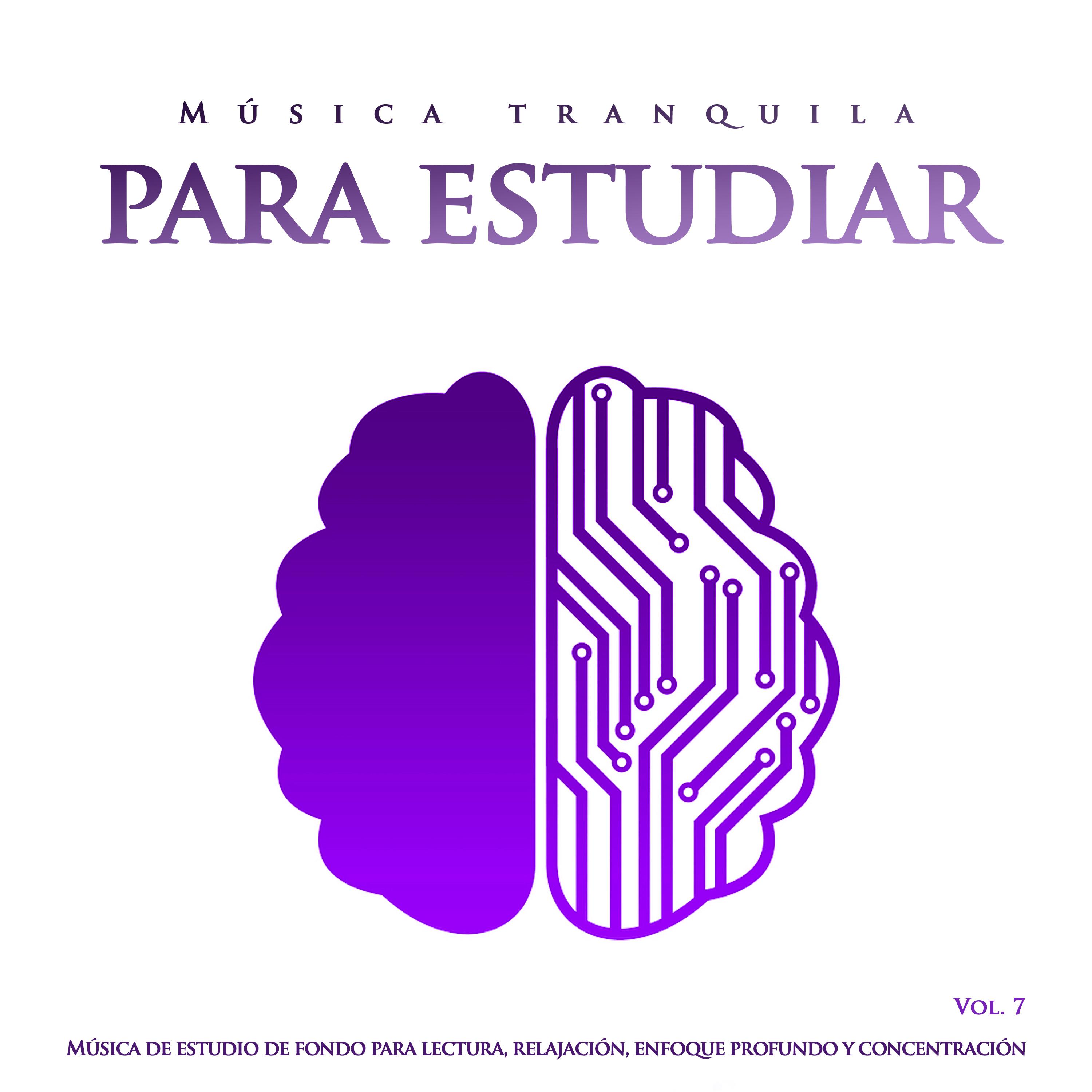 Música tranquila para estudiar: Música de estudio de fondo para lectura, relajación, enfoque profundo y concentración, Vol. 7