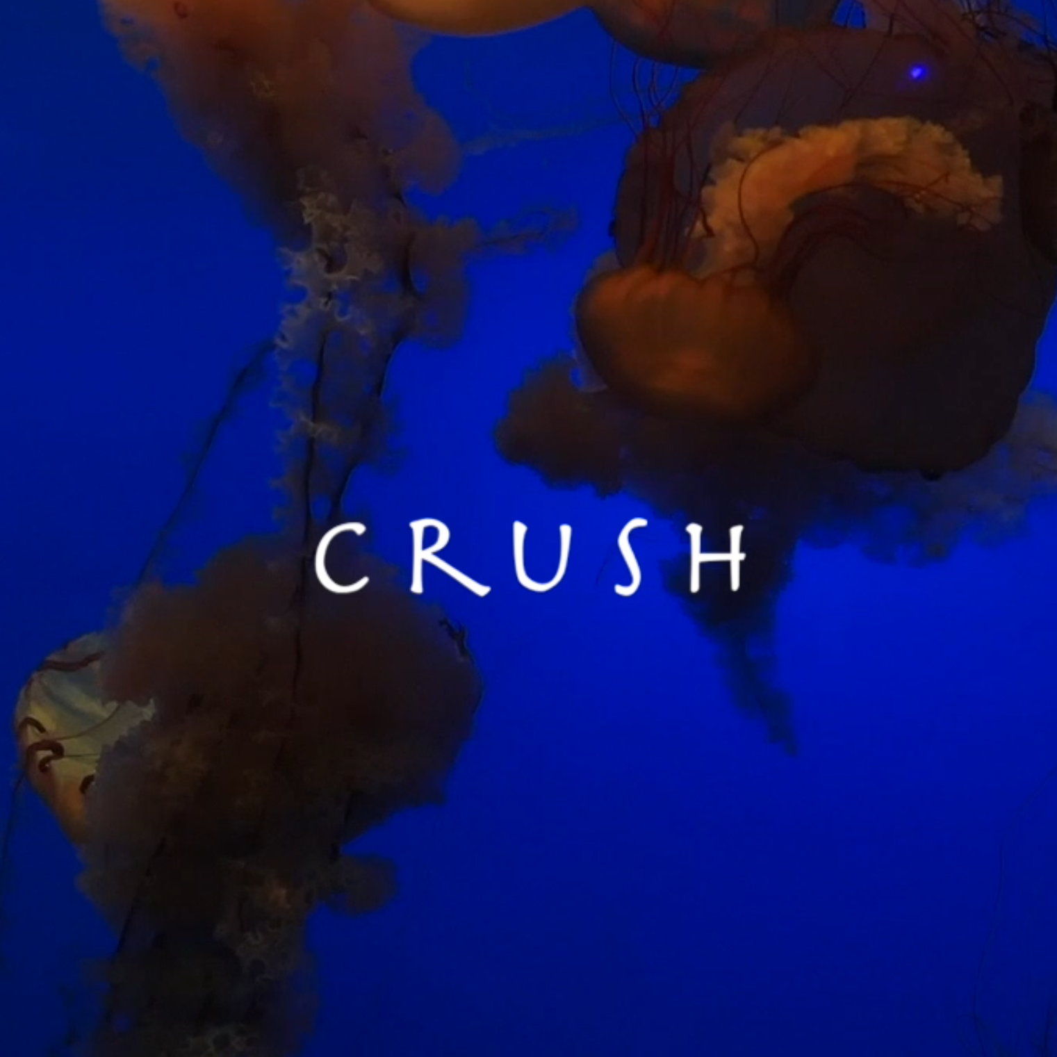 Crush！