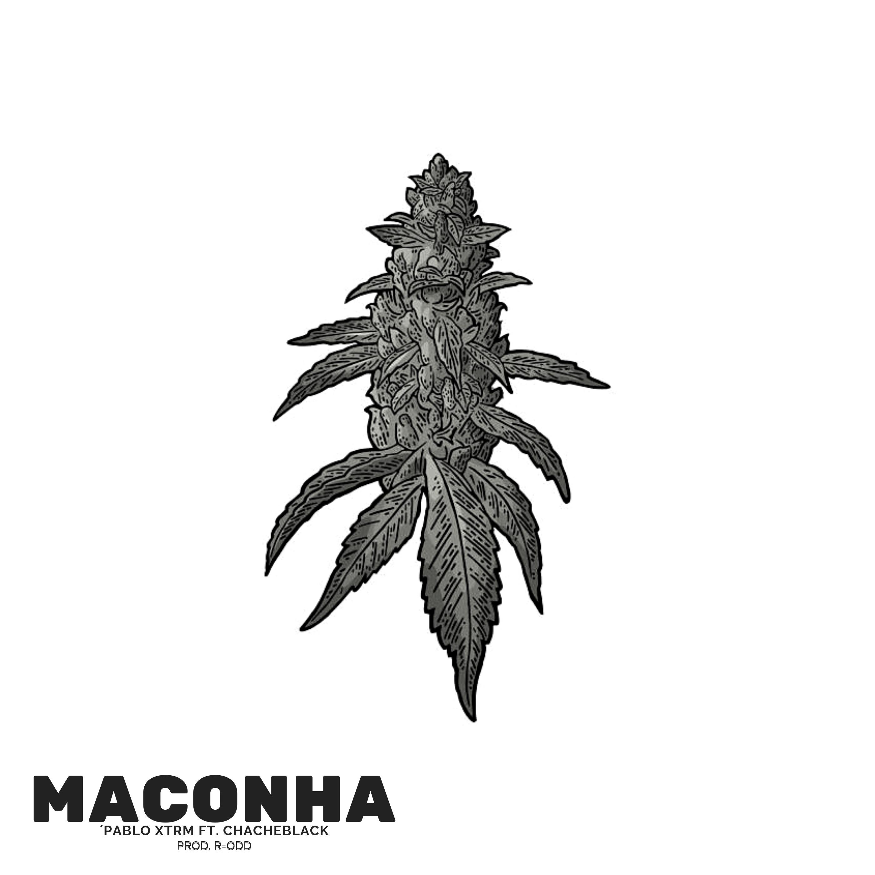 Maconha