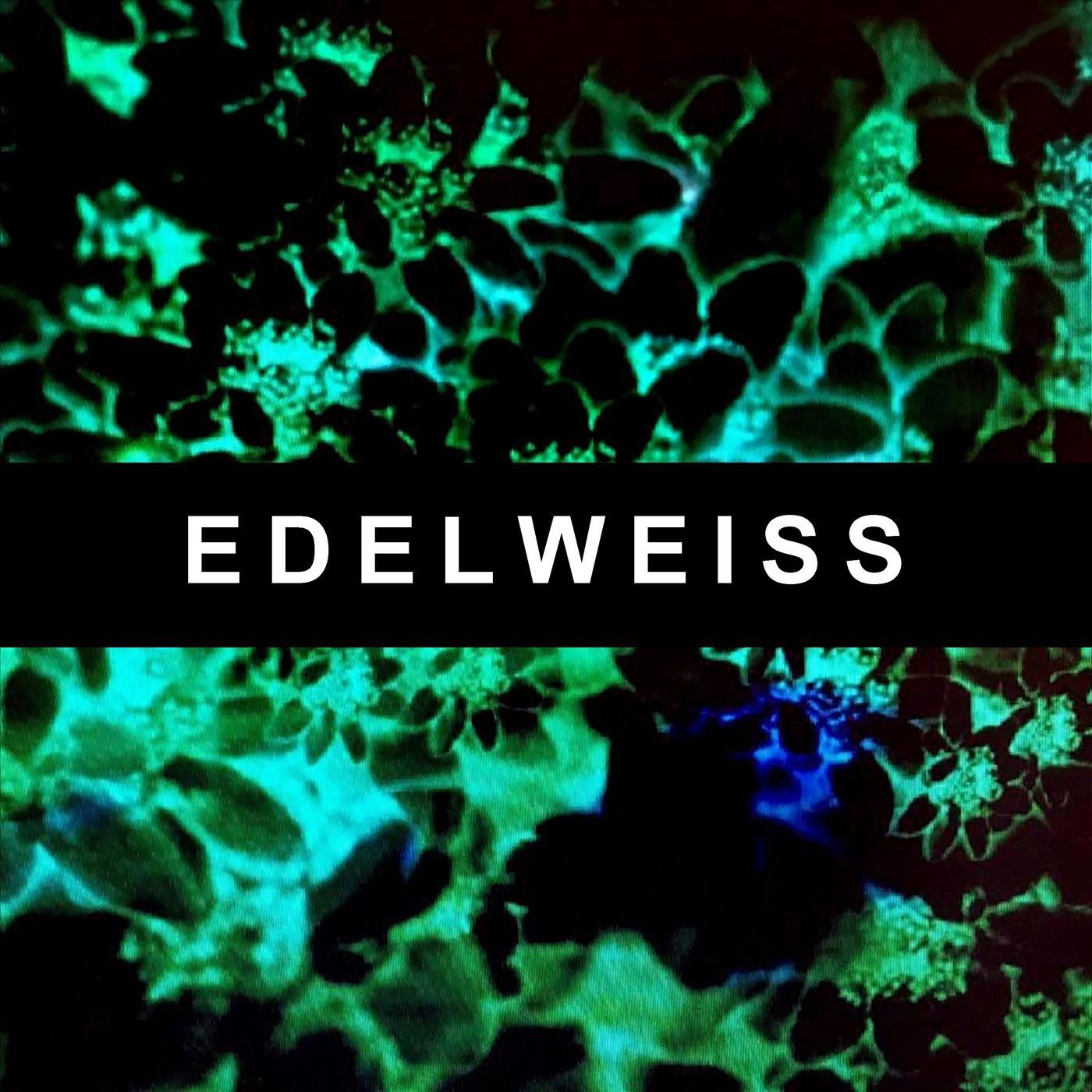 Edelweiss