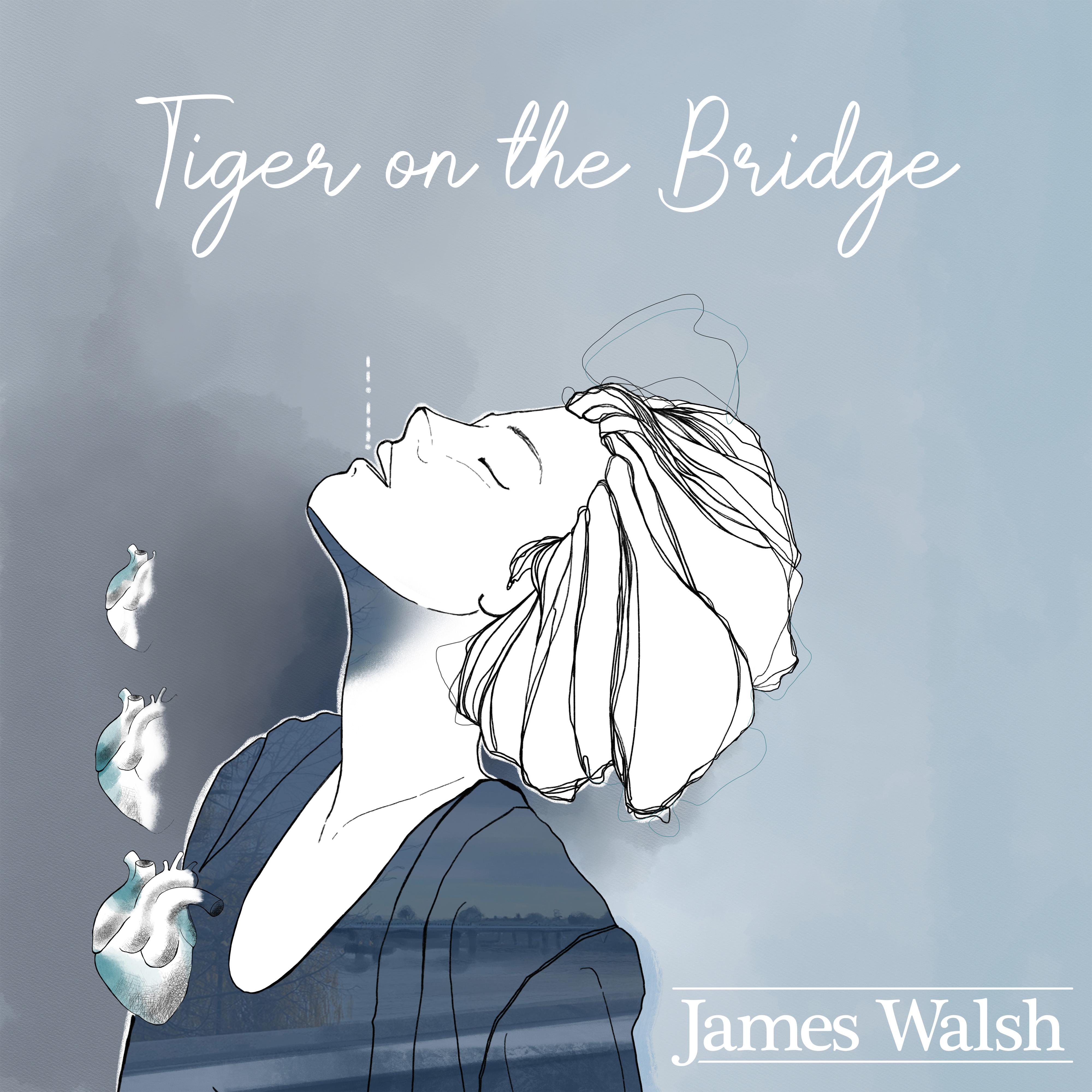 Tiger on the Bridge