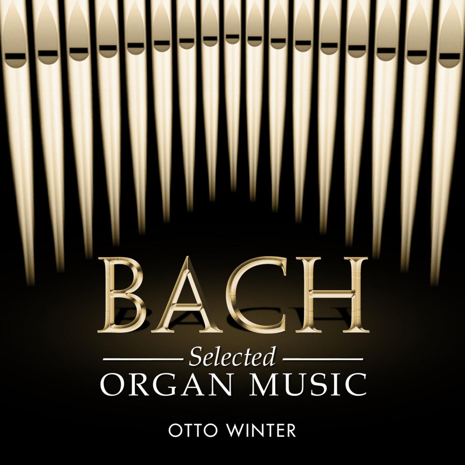 Bach: Organ Music Selections