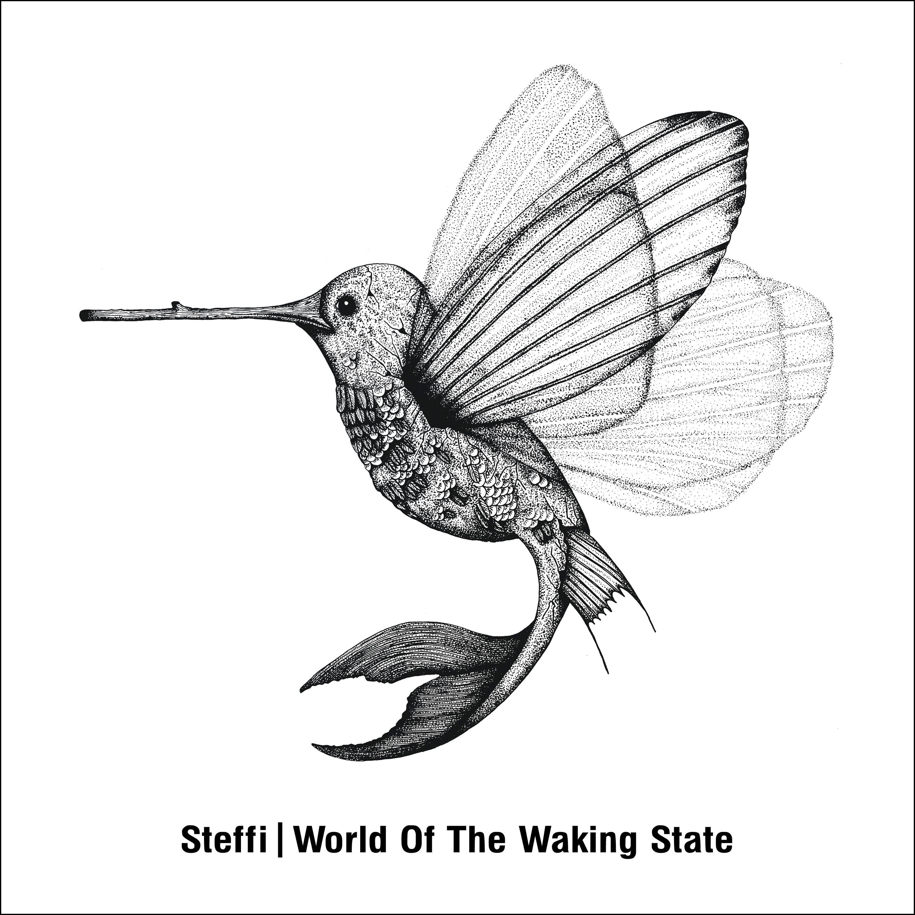 World of the Waking State