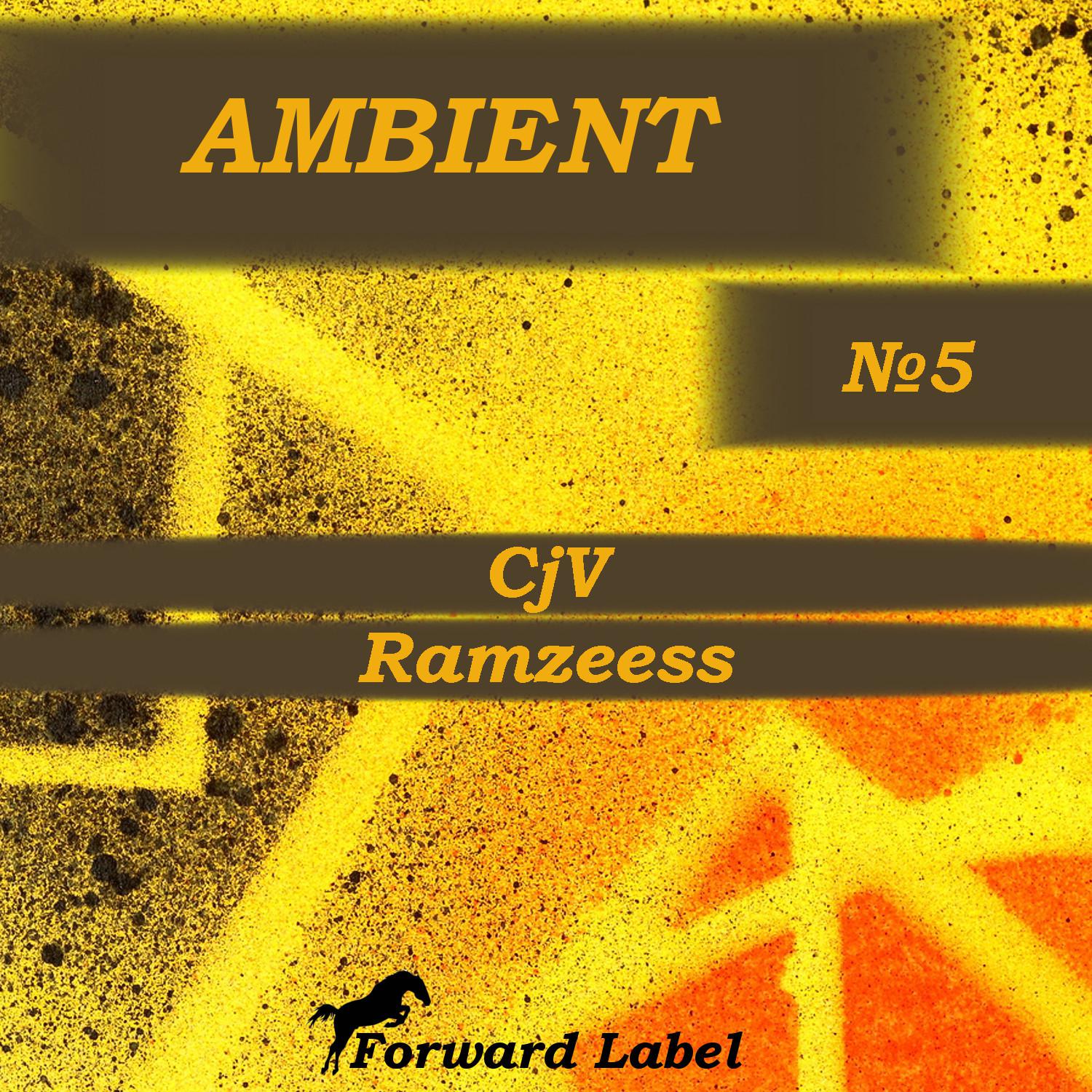 Ambient N.5