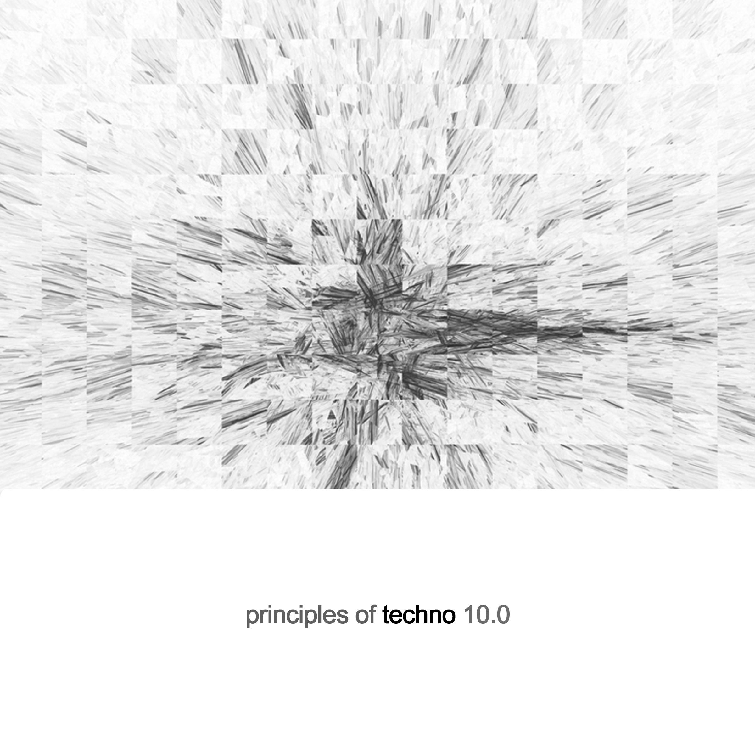 Principles of Techno, Vol. 10