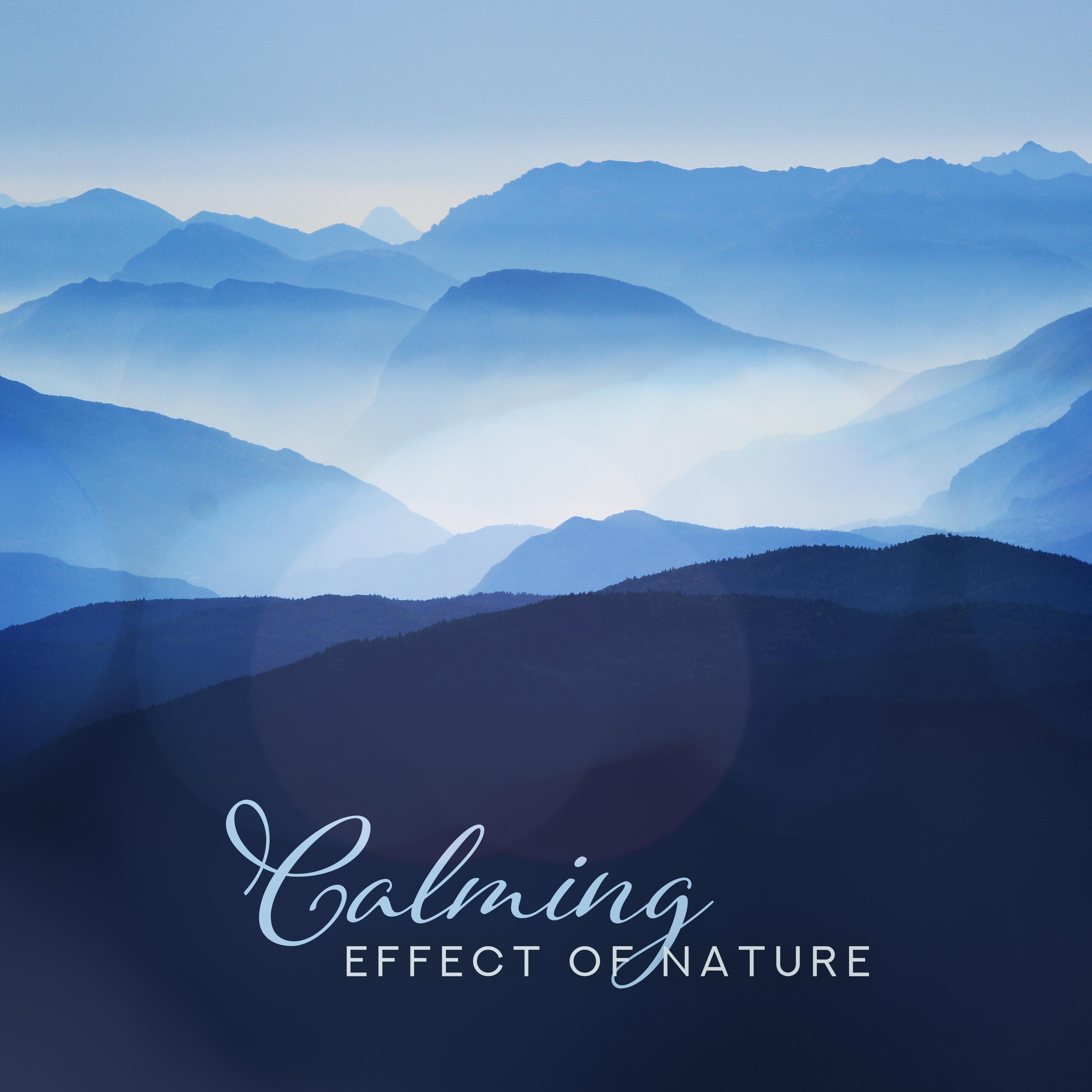 Calming Effect of Nature: Relief in Stress, Soothing Nerves and Stress, Helpful in Falling Asleep and Insomnia, Delicate Music for Rest and Relaxation