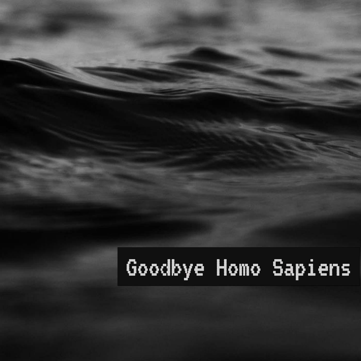 Goodbye Homo Sapiens