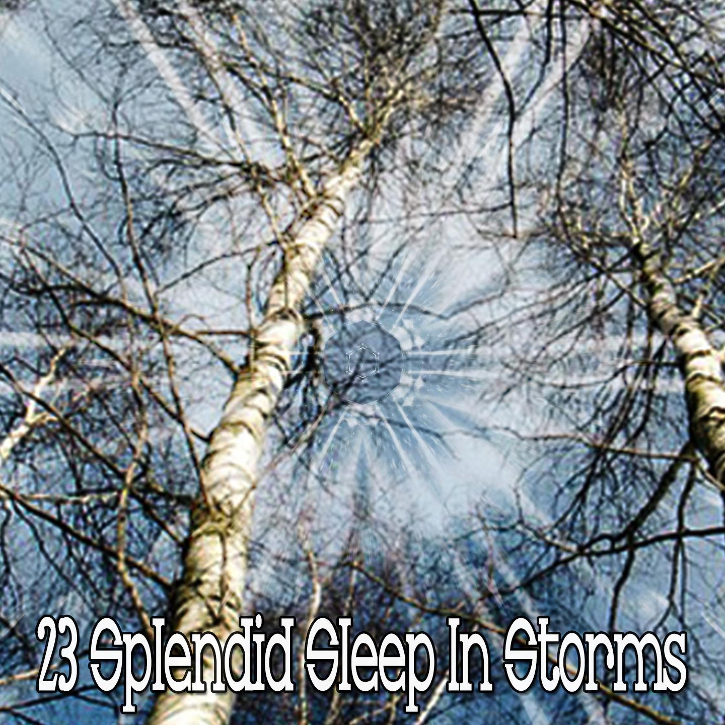 23 Splendid Sleep in Storms