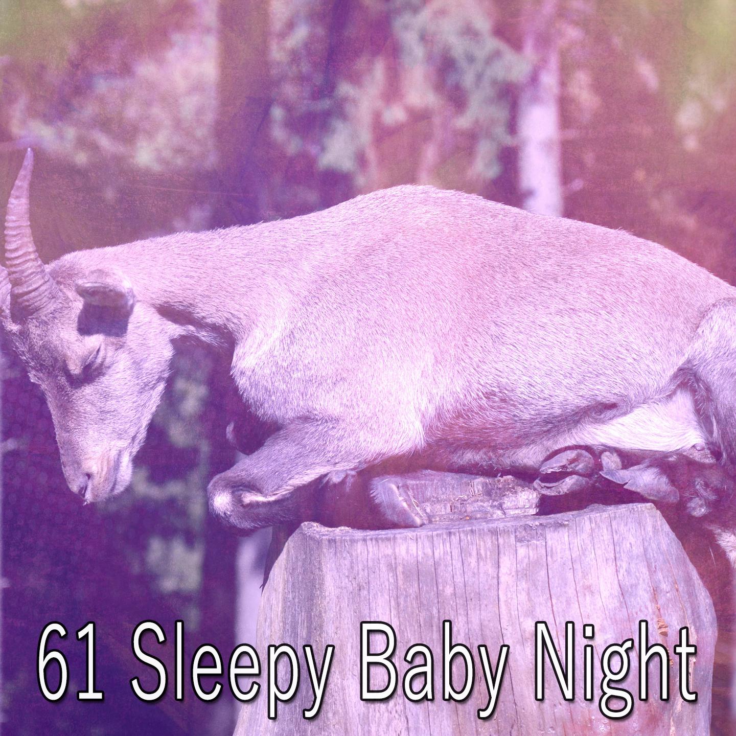 61 Sleepy Baby Night