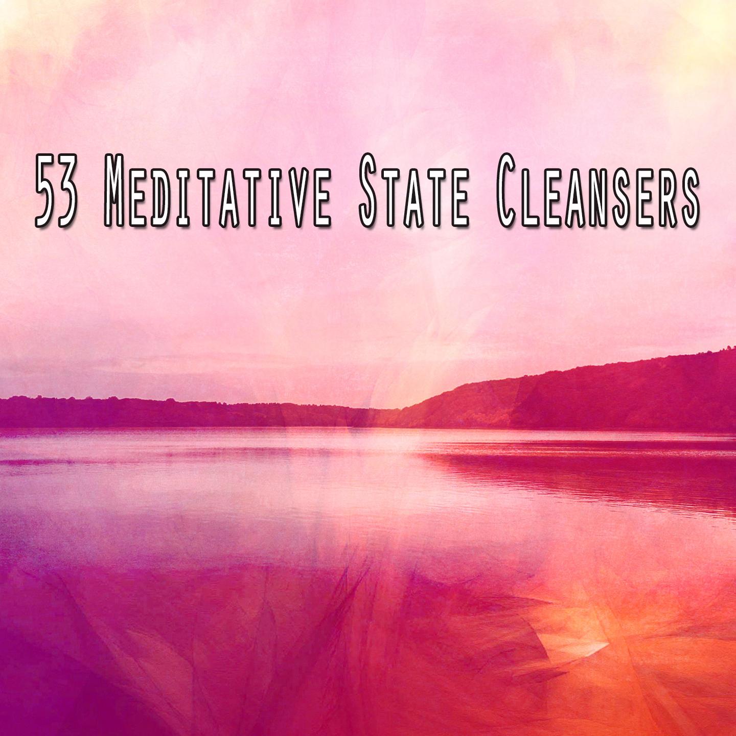 53 Meditative State Cleansers