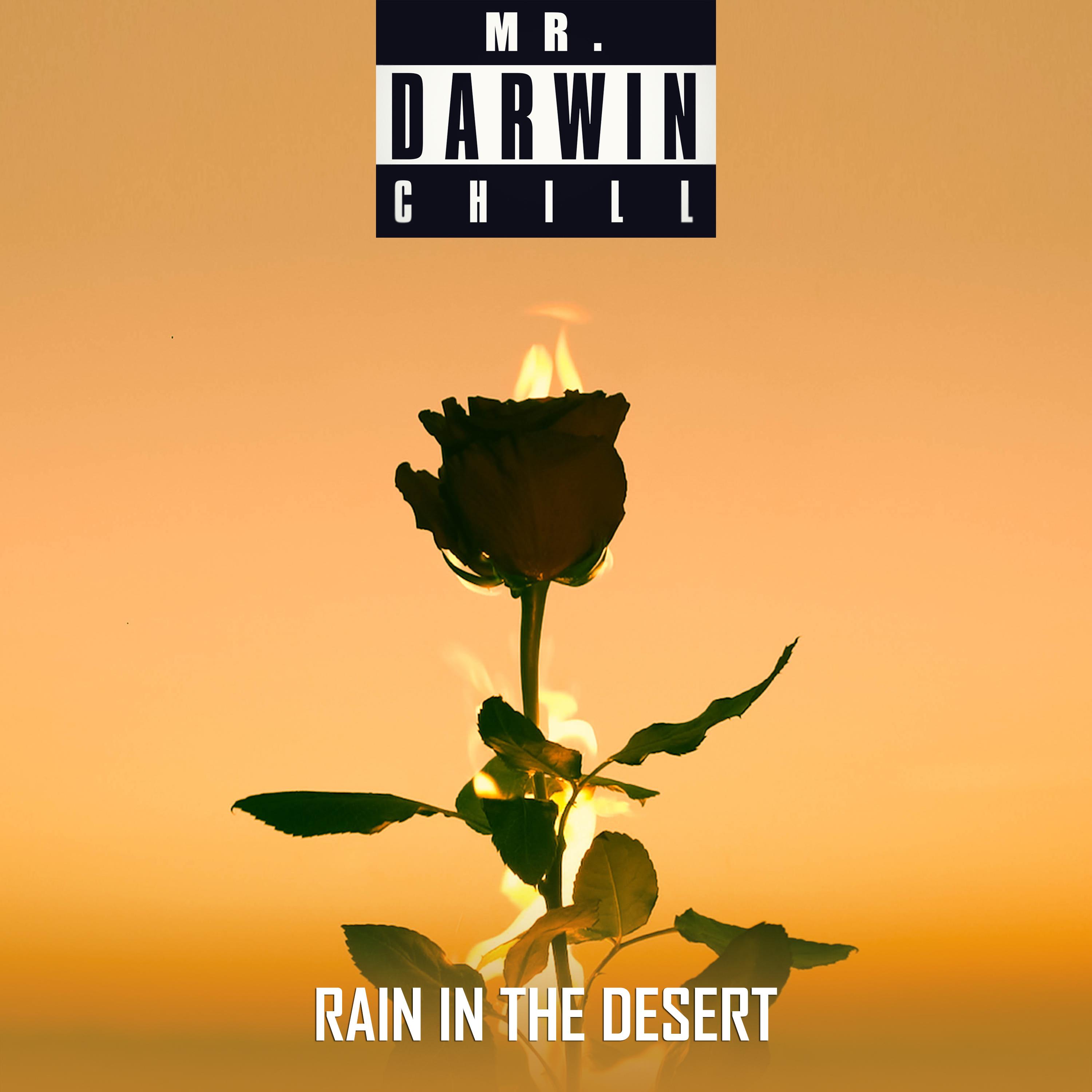 Rain In The Desert