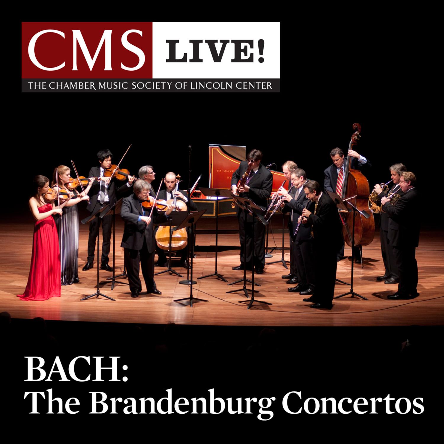 Brandenburg Concerto No. 4 in G major, BWV 1049: II. Andante